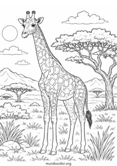 Jirafa en la sabana africana