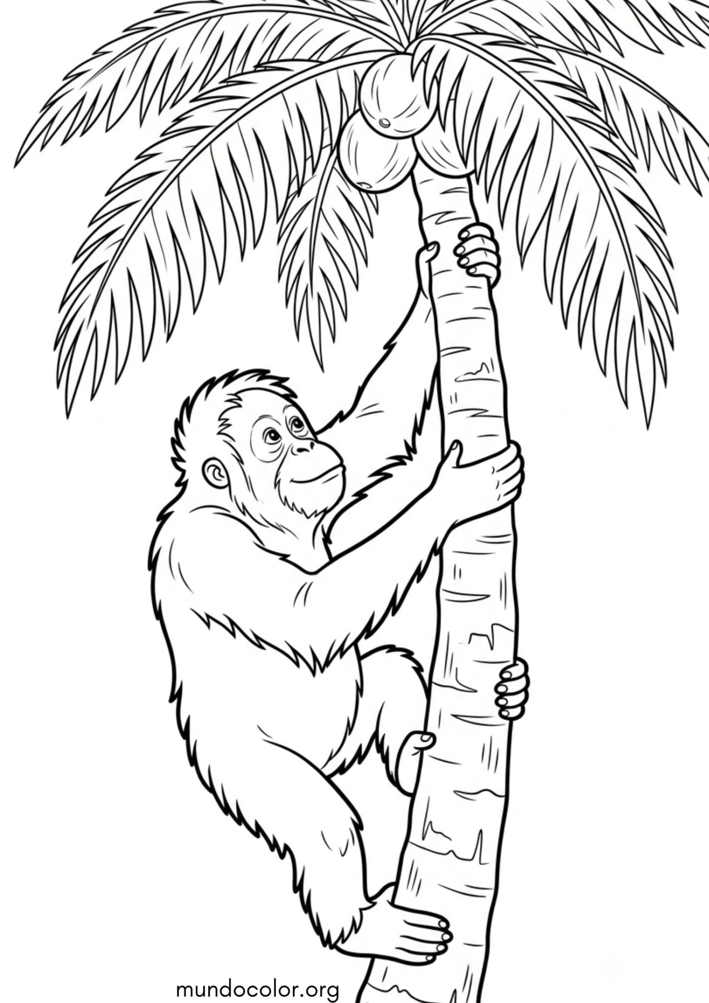 Dibujo de Mono en la palmera para colorear