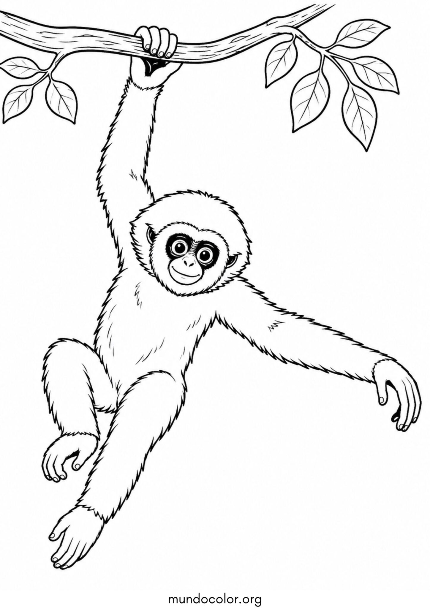 Dibujo de Mono gibón para colorear
