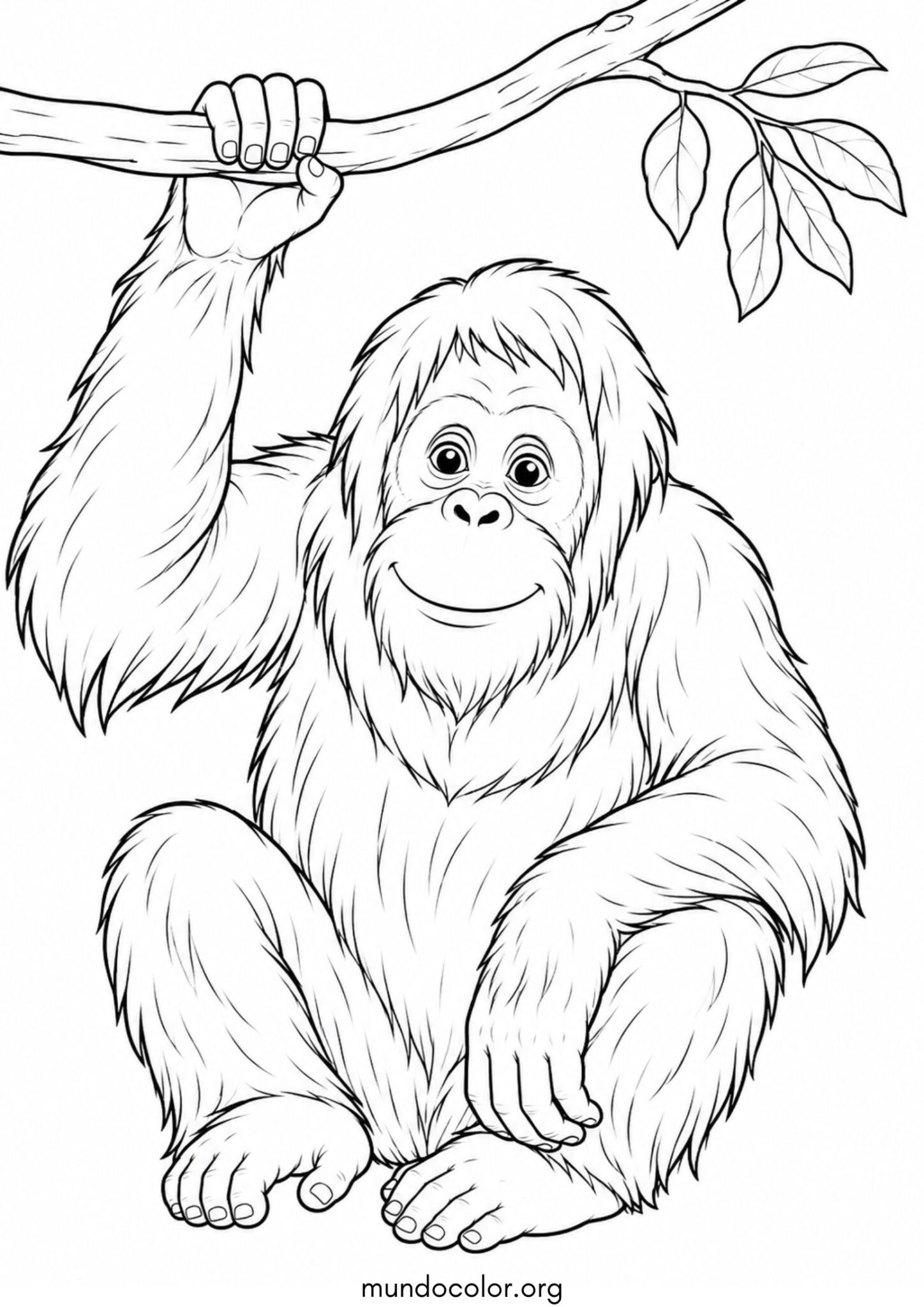 Dibujo de Mono orangután para colorear