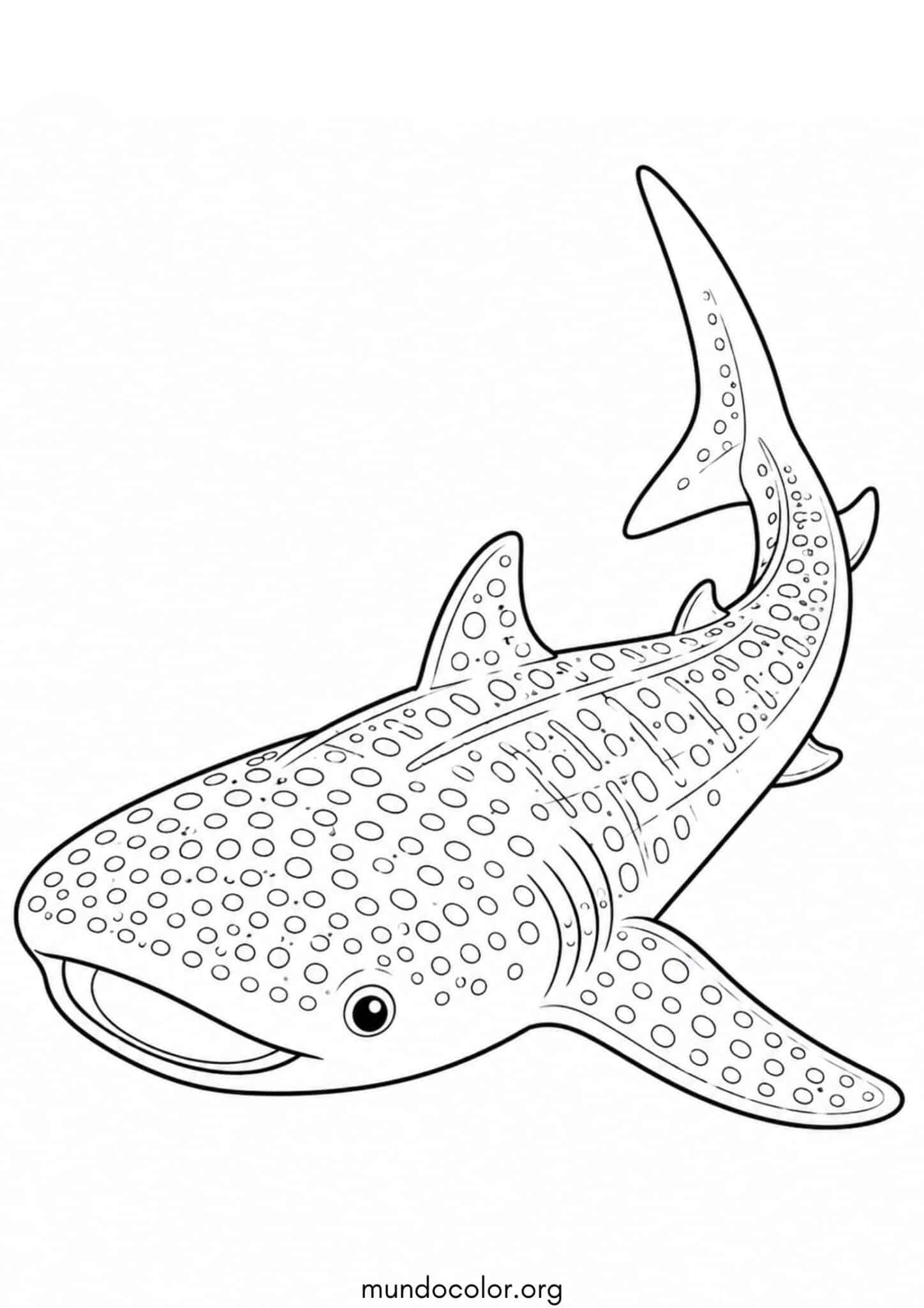 Dibujo de Tiburón ballena para colorear