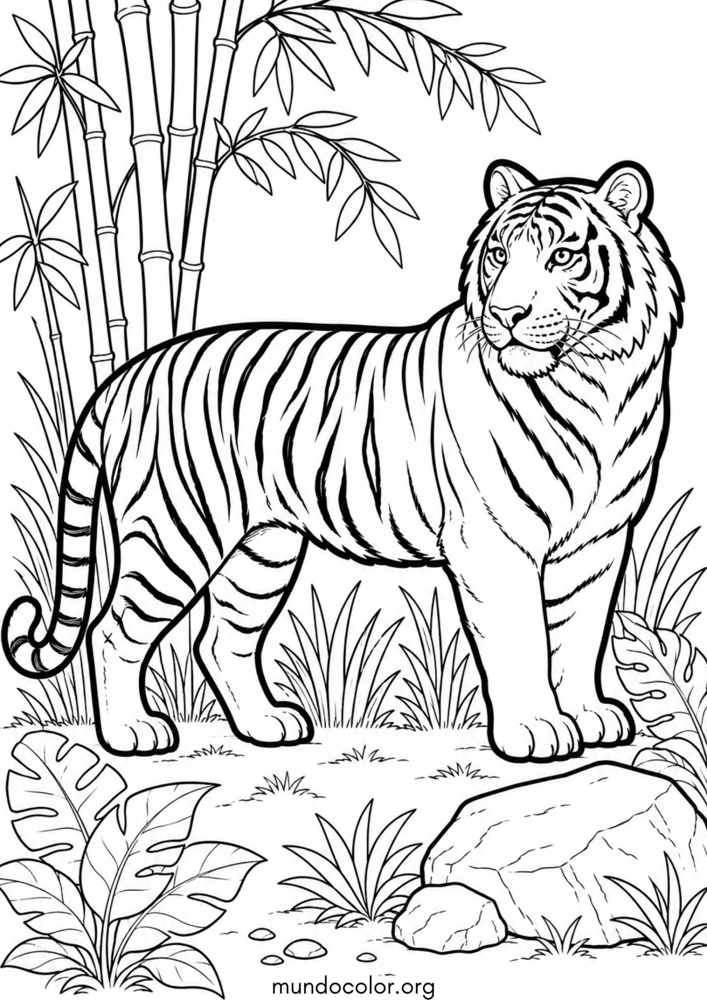 Dibujo de Tigre realista para colorear