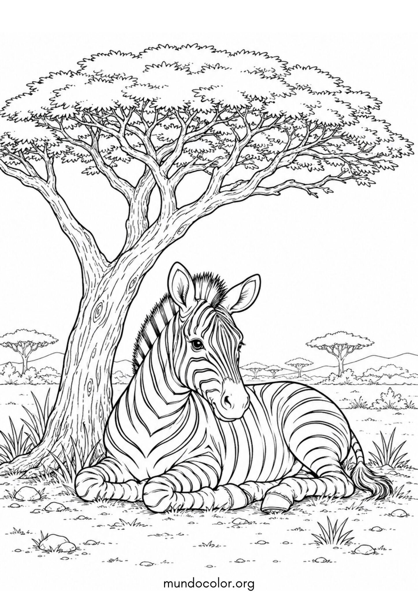 Dibujo de Cebra descansando bajo la sombra de un árbol de acacia para imprimir Dibujo de Cebra descansando bajo la sombra de un árbol de acacia para colorear
