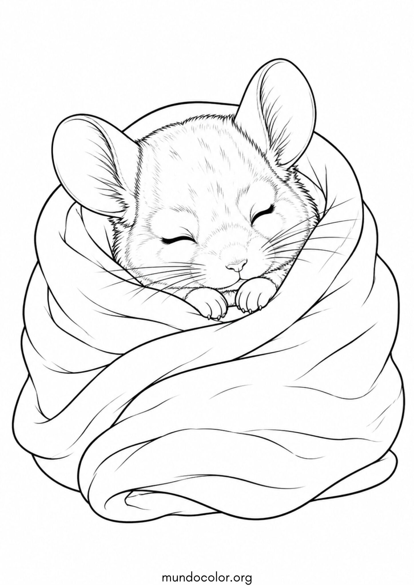 Dibujo de Chinchilla bebé durmiendo en una manta para colorear