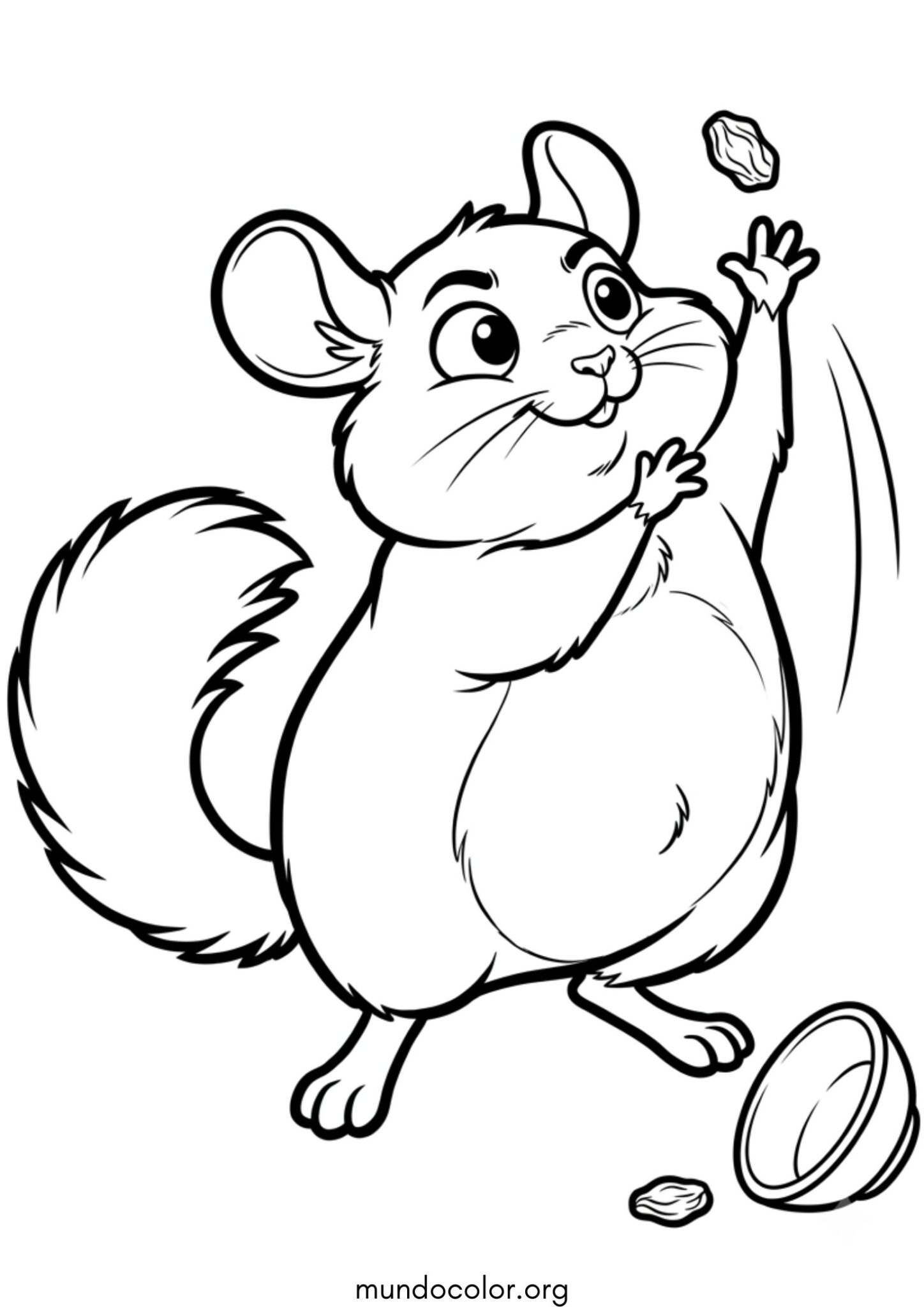 Dibujo de Chinchilla gordita y redonda para colorear