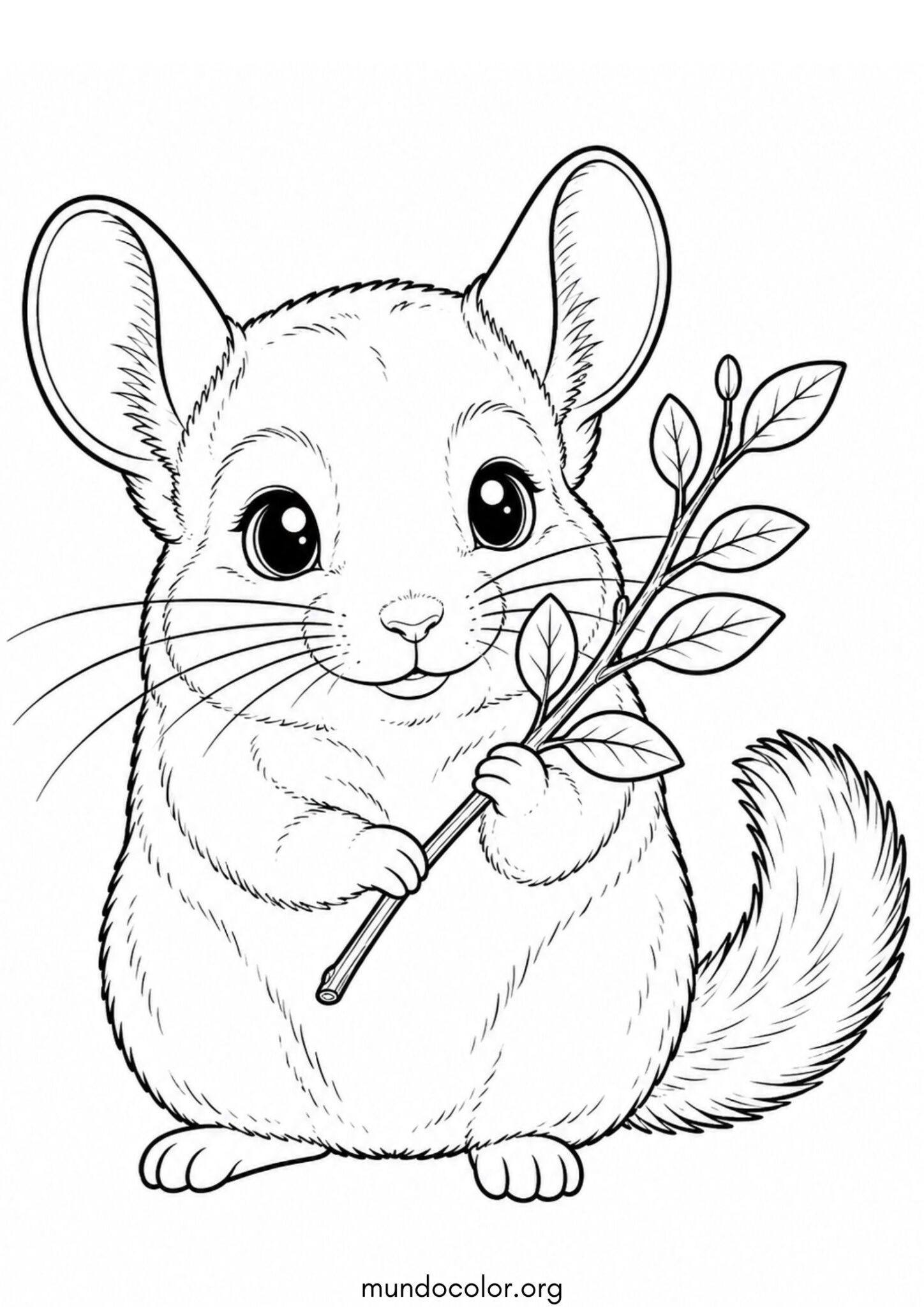 Dibujo de Chinchilla sosteniendo una rama con las dos patitas para colorear