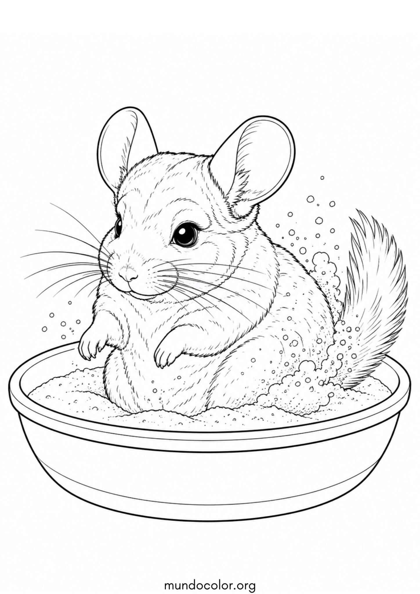 Dibujo de Chinchilla tomando un baño de arena para colorear