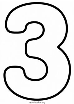 Número 3 (tres)
