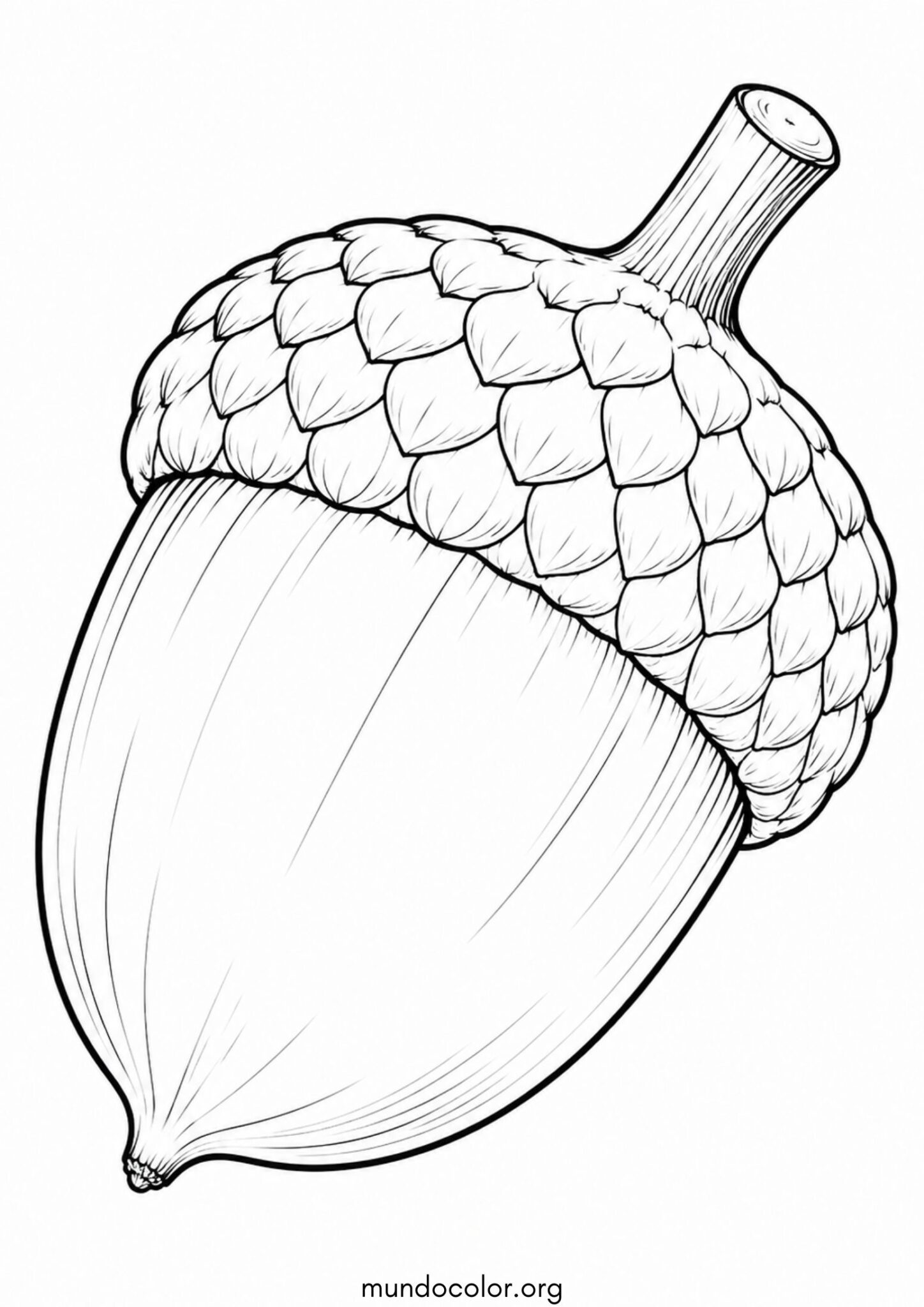 Dibujo de Otoño – Bellota para colorear