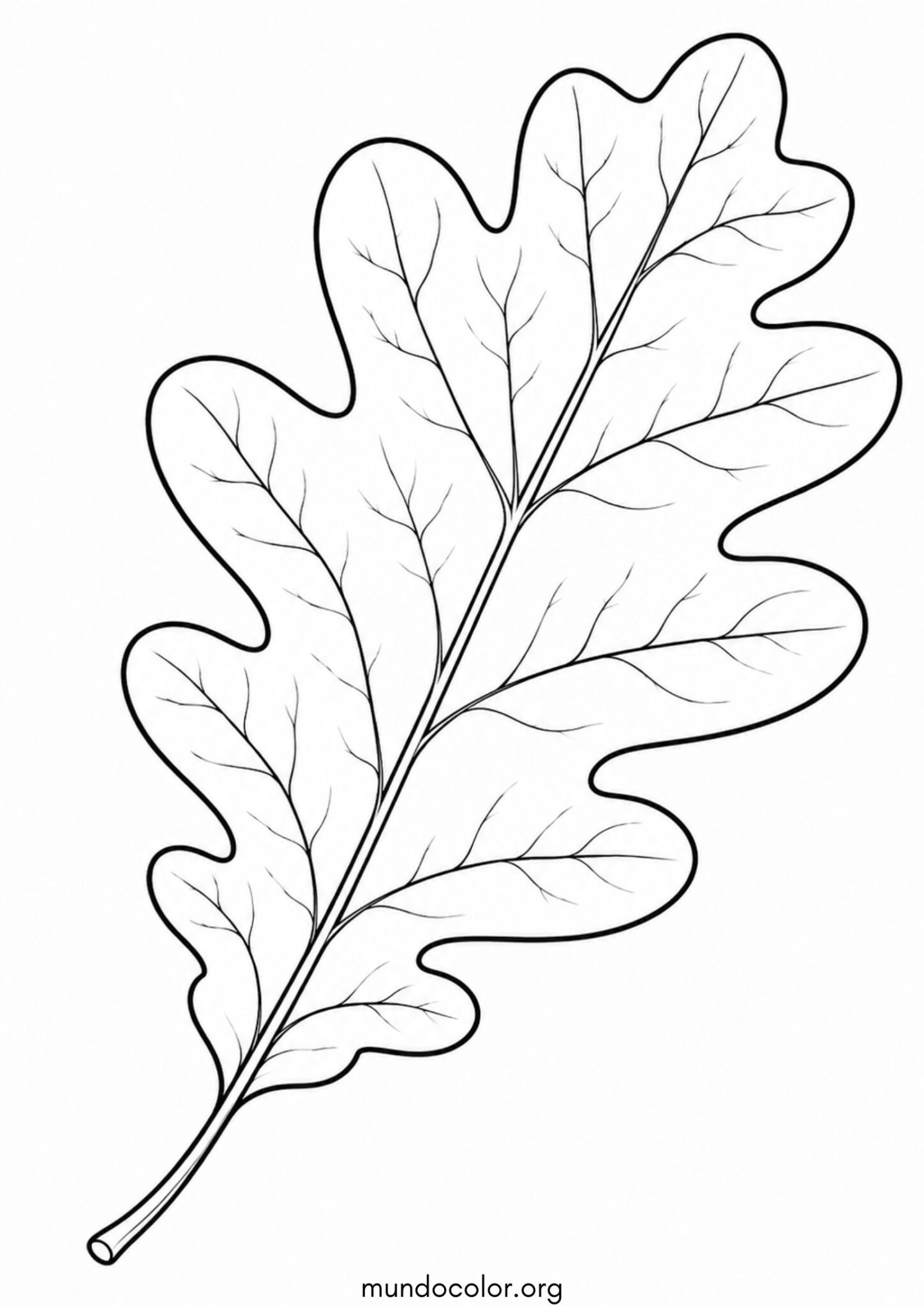 Dibujo de Otoño – Hoja de roble para imprimir Dibujo de Otoño – Hoja de roble para colorear