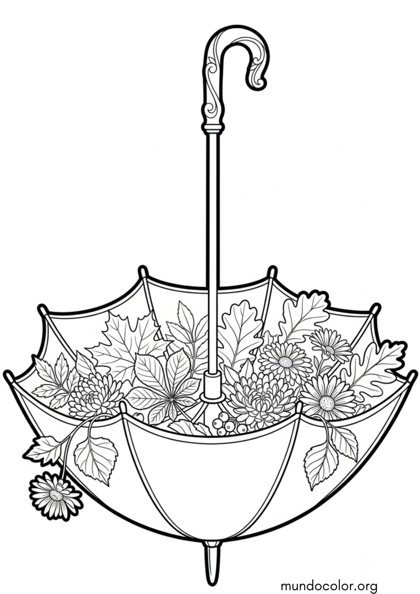 Dibujo de Paraguas abierto lleno de hojas caídas y flores para colorear