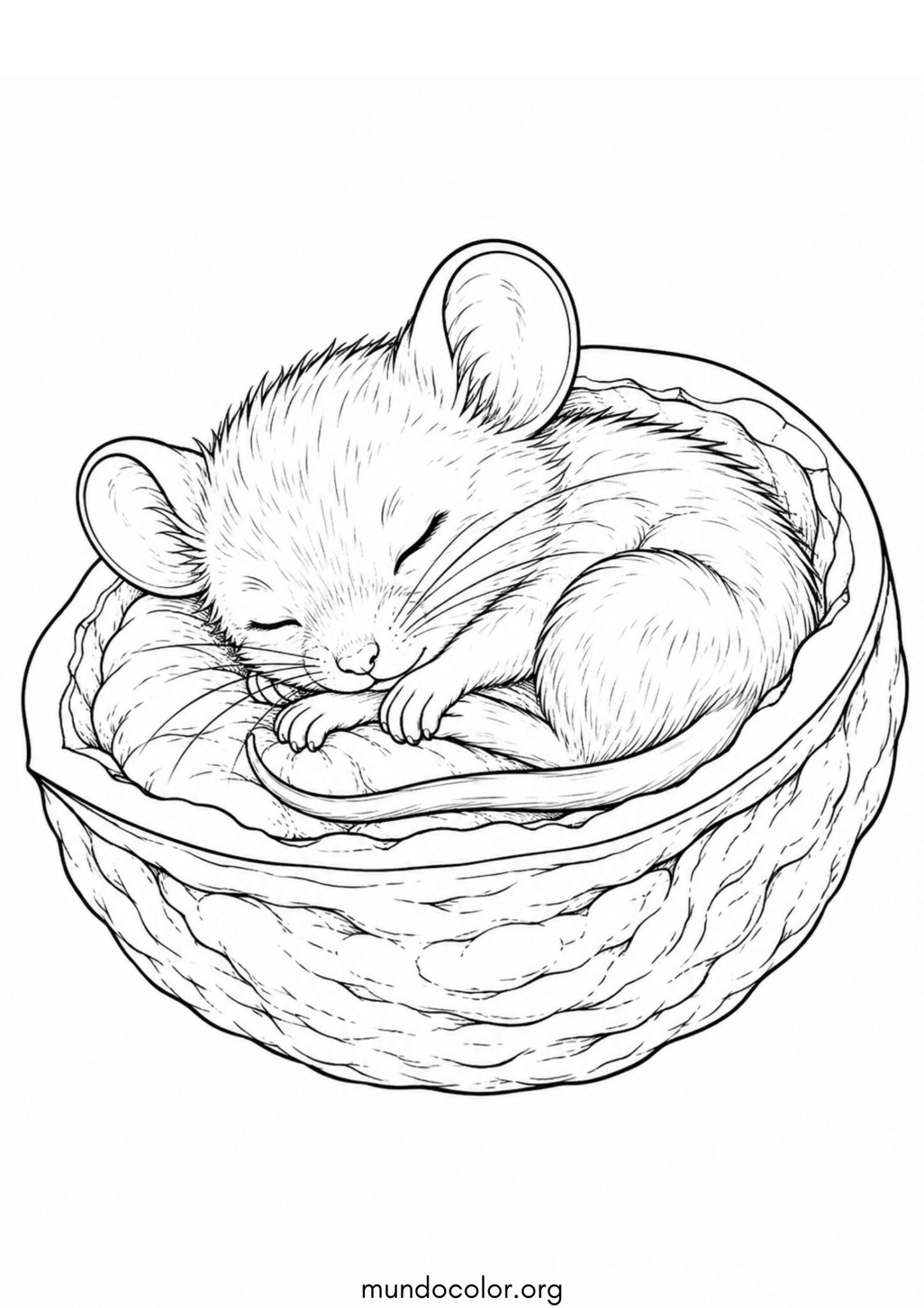Dibujo de Ratón durmiendo en una cáscara de nuez para colorear