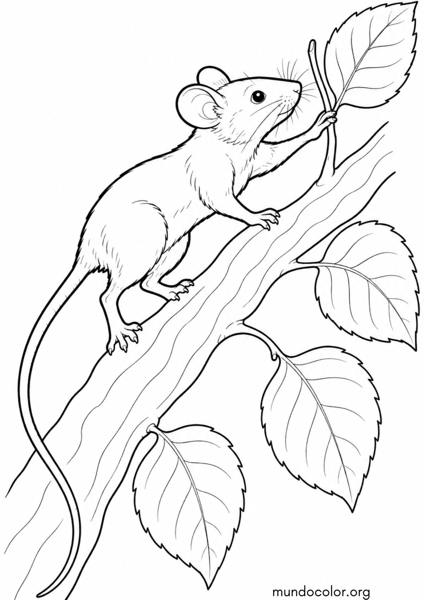 Dibujo de Ratón subiendo por una rama de árbol para colorear