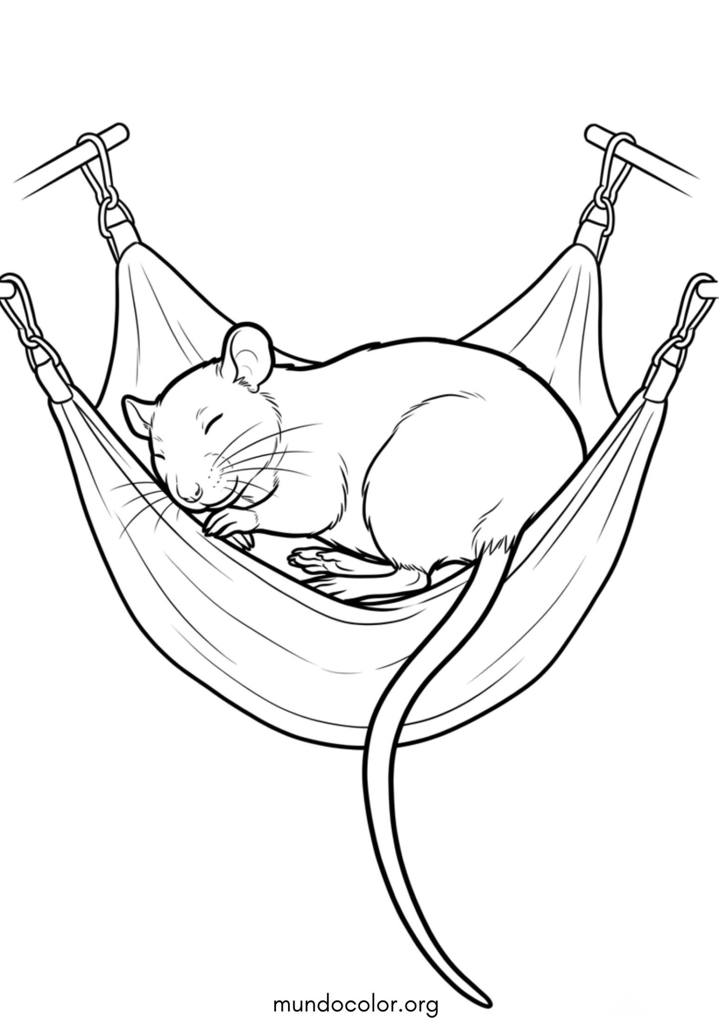 Dibujo de Rata durmiendo en una hamaca para colorear