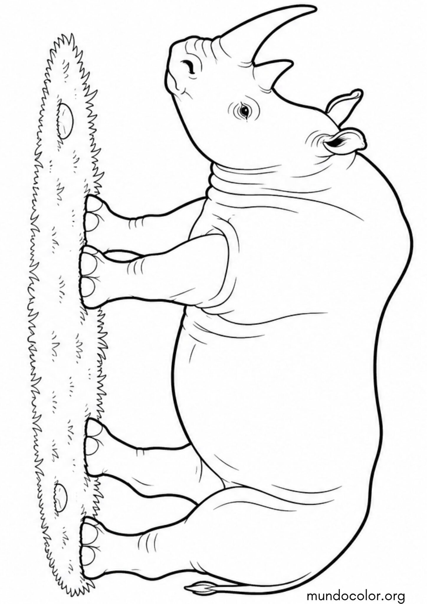 Dibujo de Rinoceronte realista para colorear