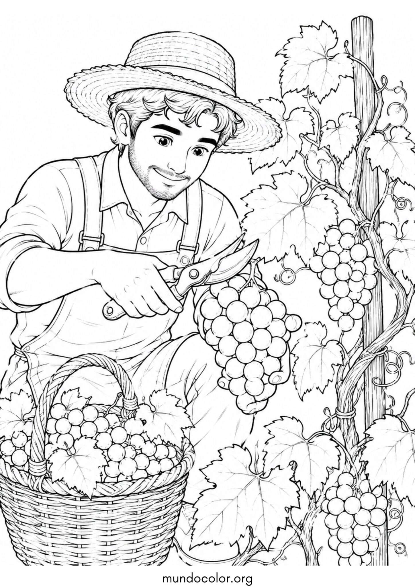 Dibujo de Fiesta de la Vendimia – Vendimiador tradicional con sombrero de paja y tijeras de podar para colorear