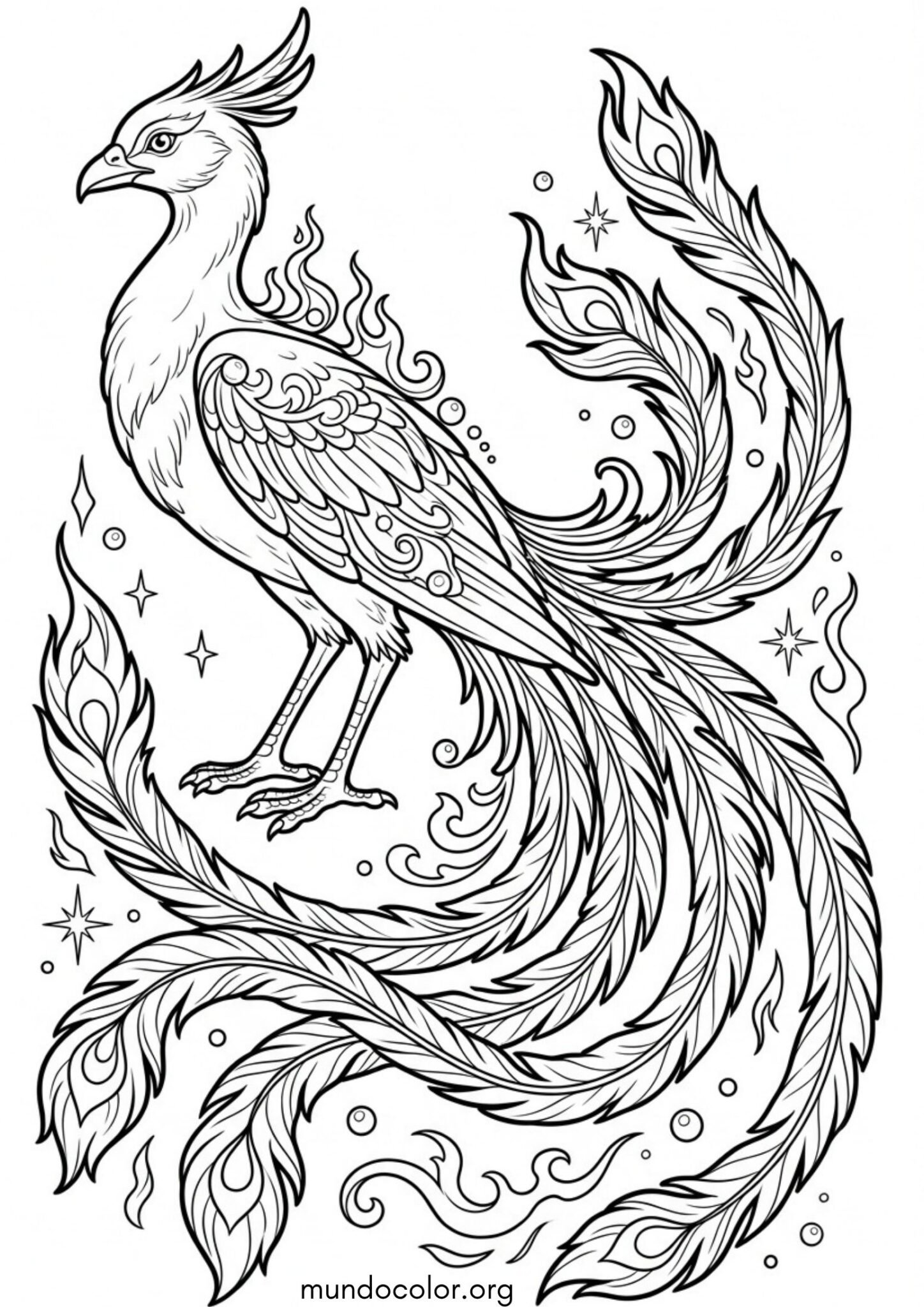 Dibujo de Ave Fénix con cola larga de plumas de fuego para imprimir Dibujo de Ave Fénix con cola larga de plumas de fuego para colorear