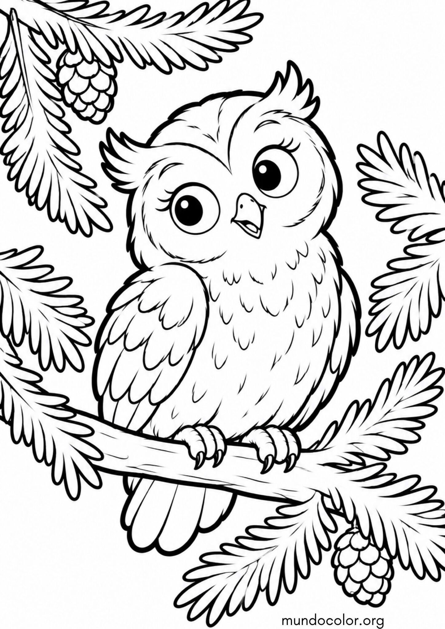 Dibujo de Búho entre las ramas de un abeto para colorear