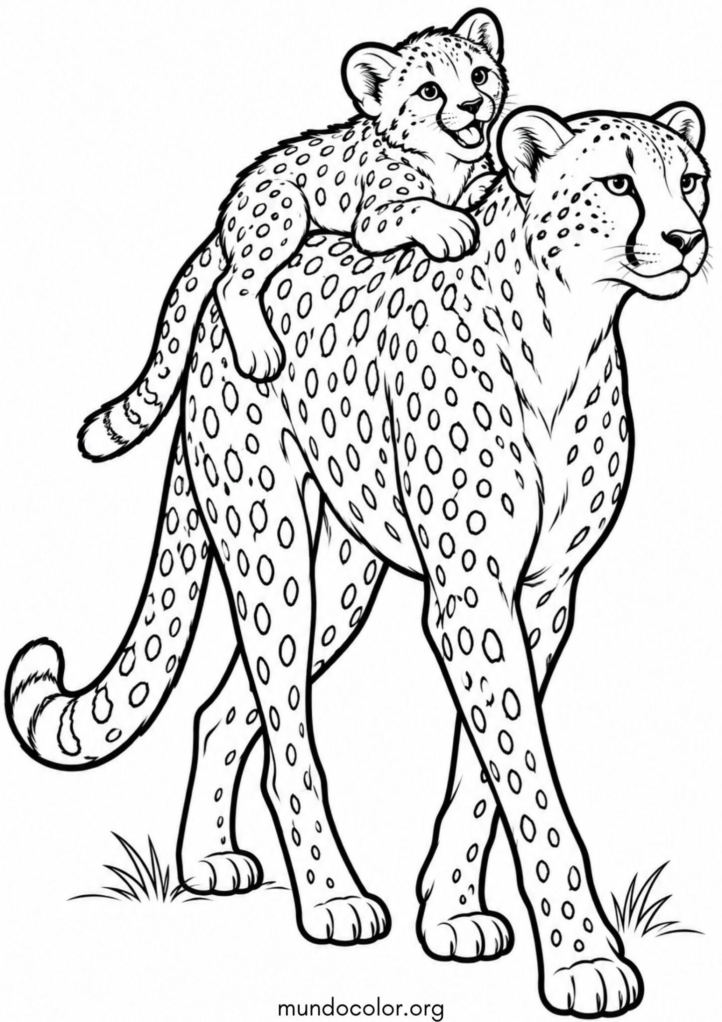 Dibujo de Cachorro de guepardo subido a caballito sobre la espalda de su mamá para colorear