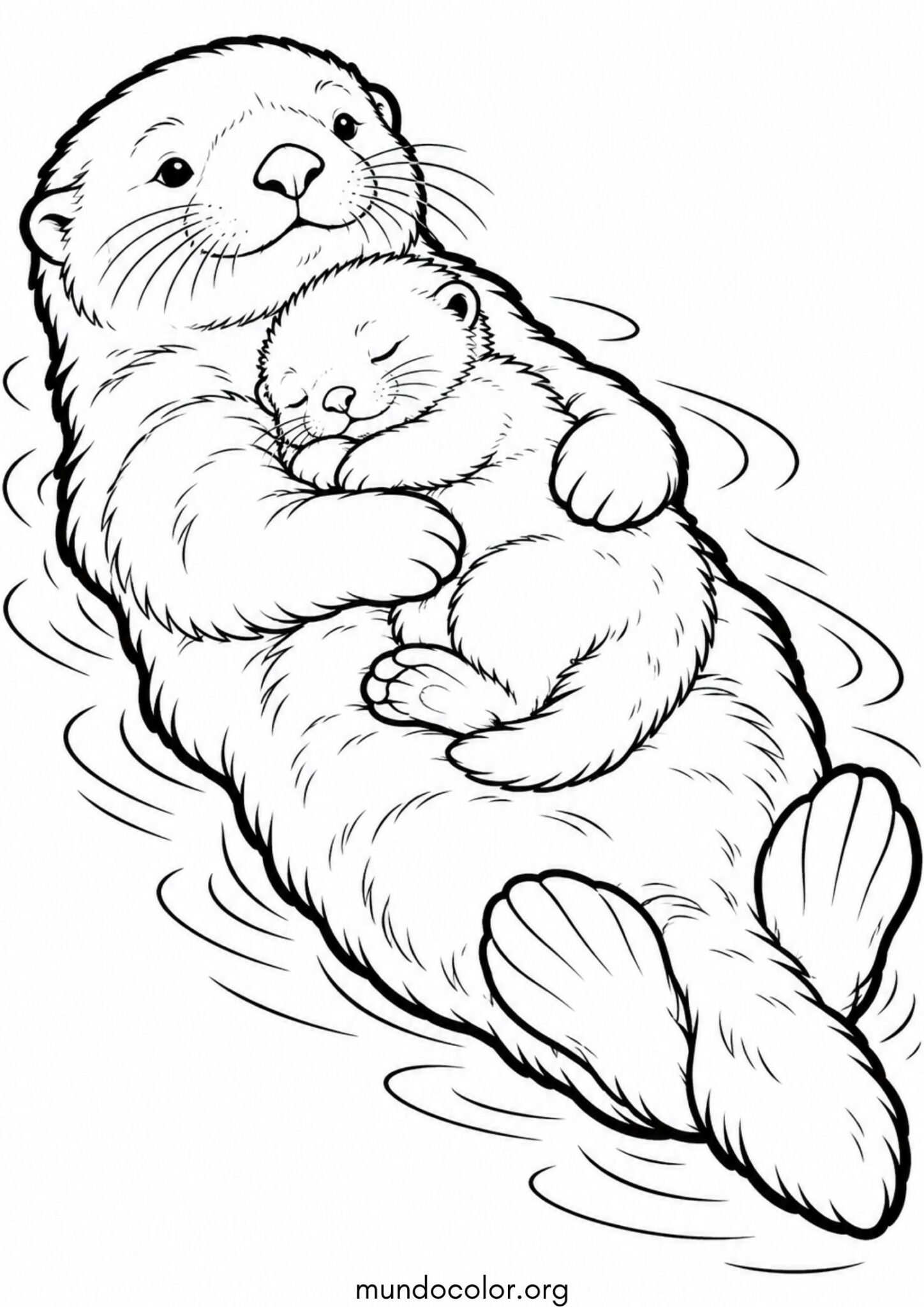 Dibujo de Cachorro de nutria durmiendo en la pancita de su mamá para colorear