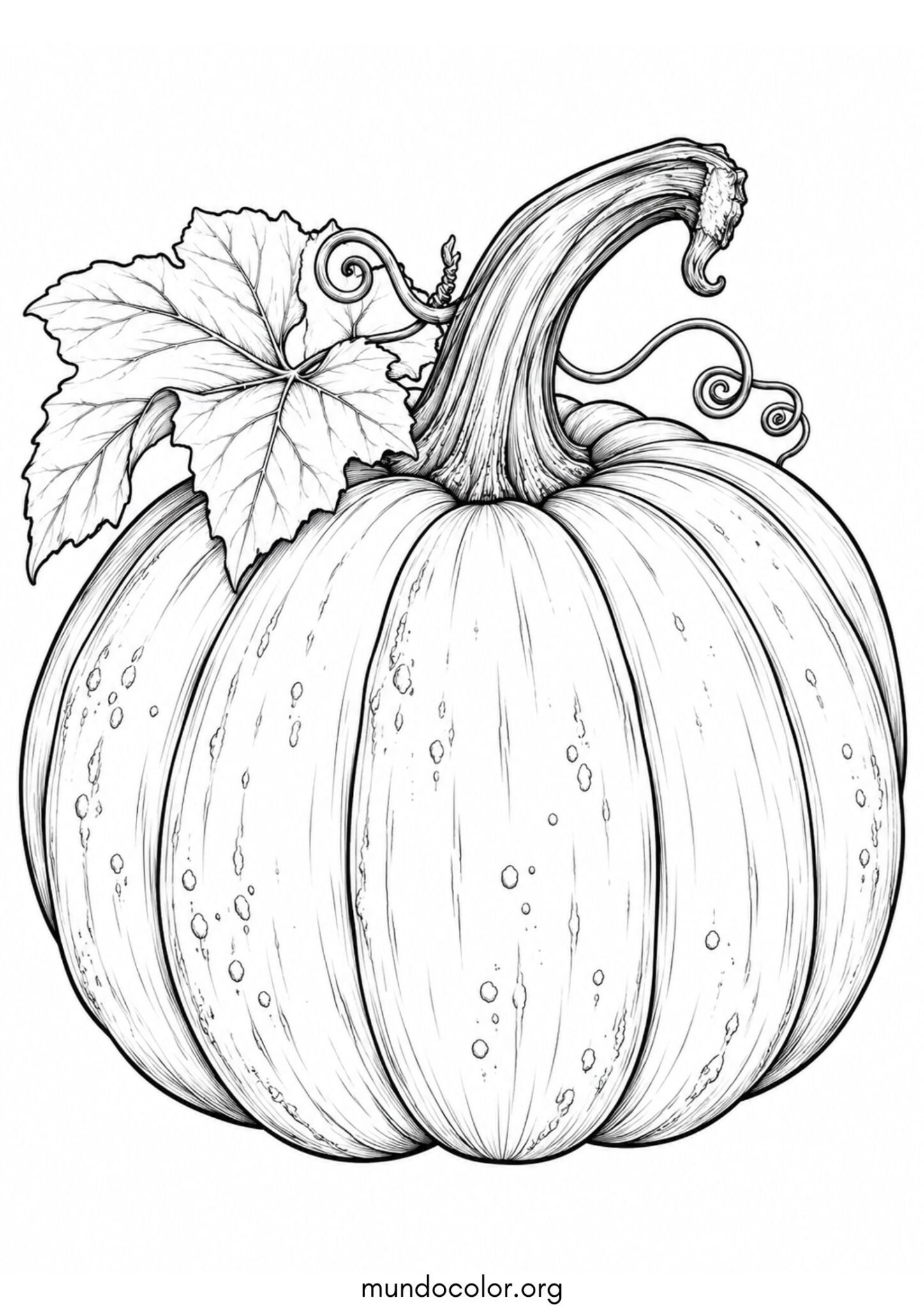 Calabaza realista y detallada para imprimir y pintar Dibujo de Calabaza realista y detallada para colorear