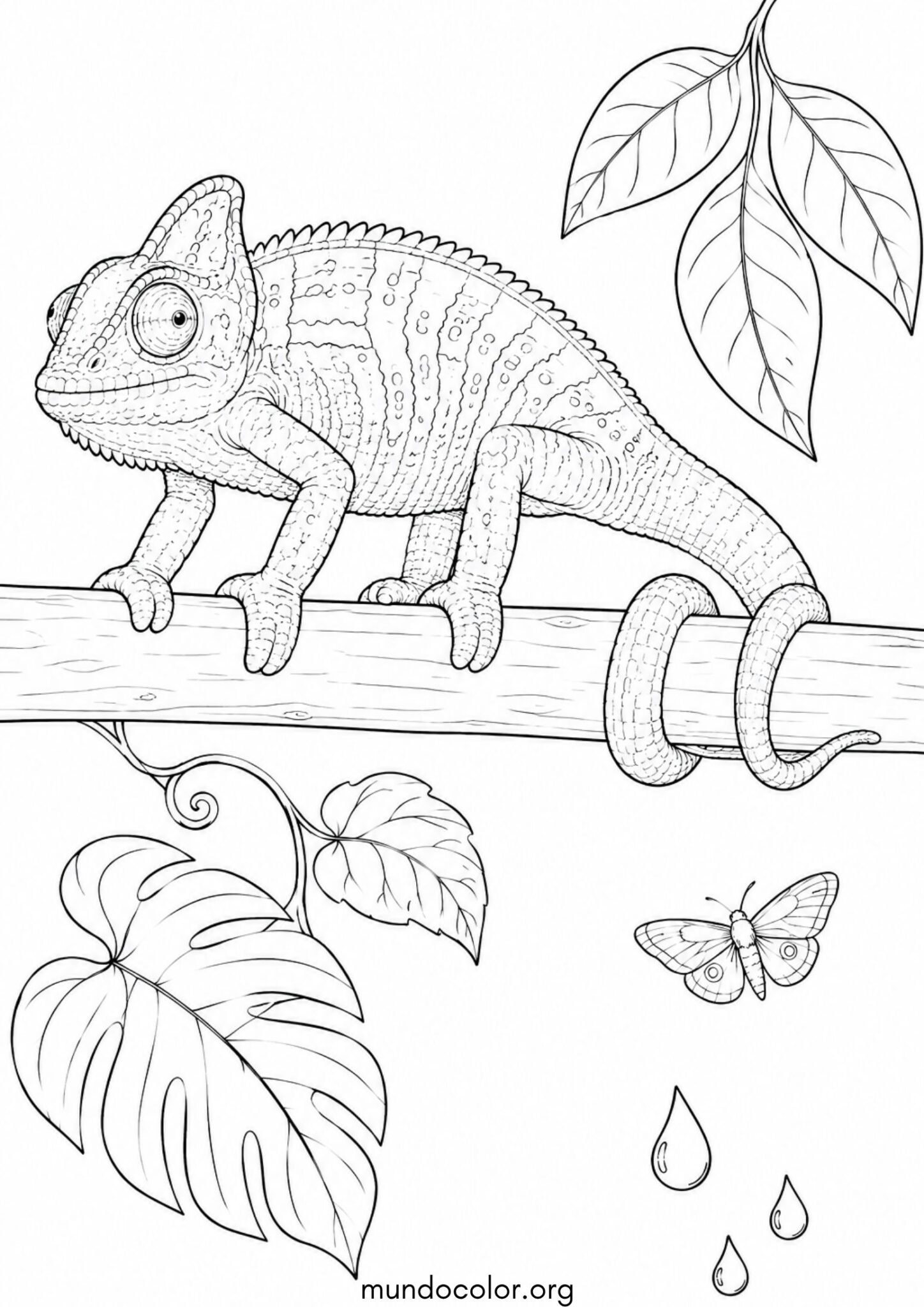 Dibujo de Camaleón agarrado firmemente a una rama con su cola enrollada en espiral para colorear