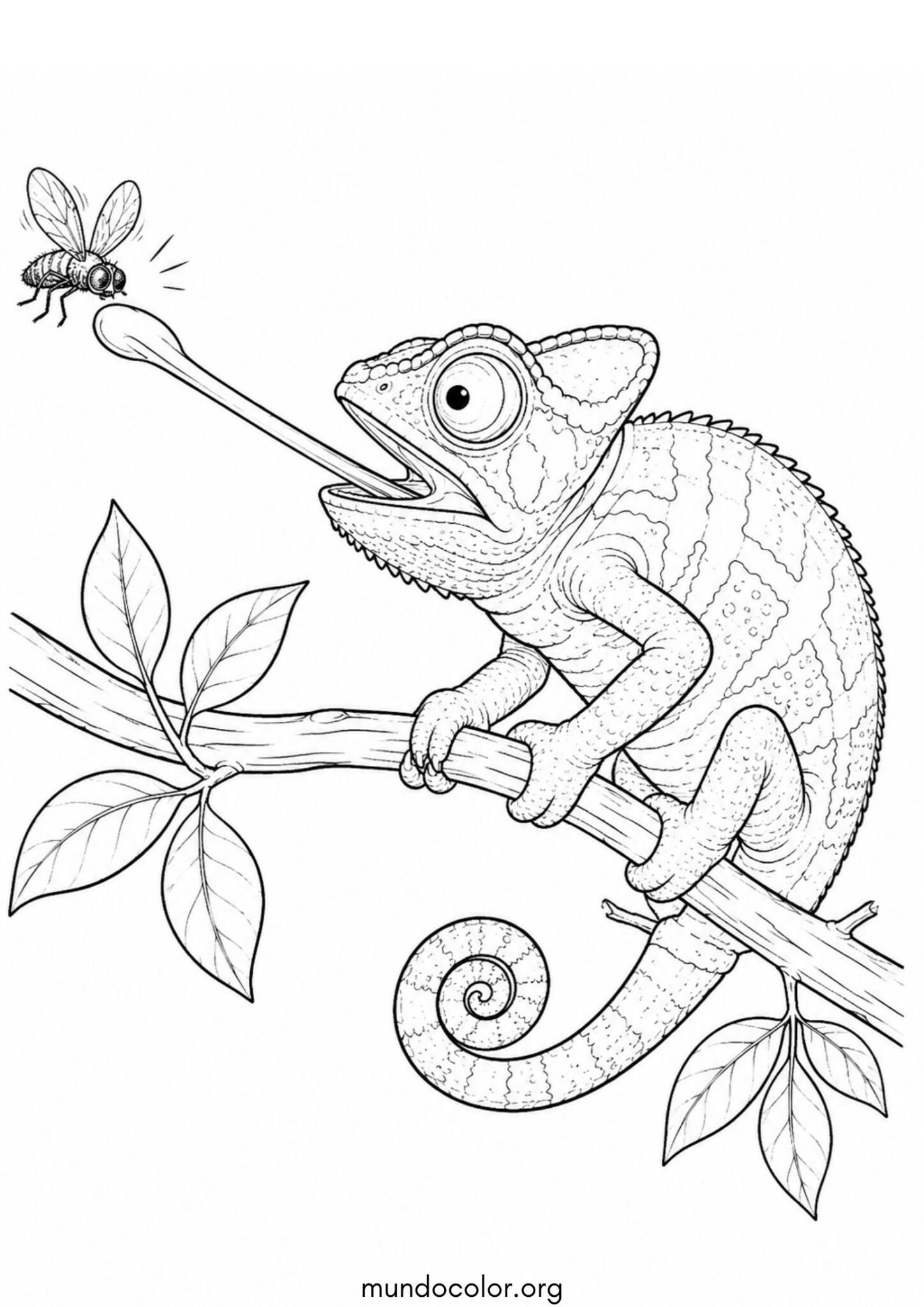 Dibujo de Camaleón atrapando una mosca con su lengua para colorear