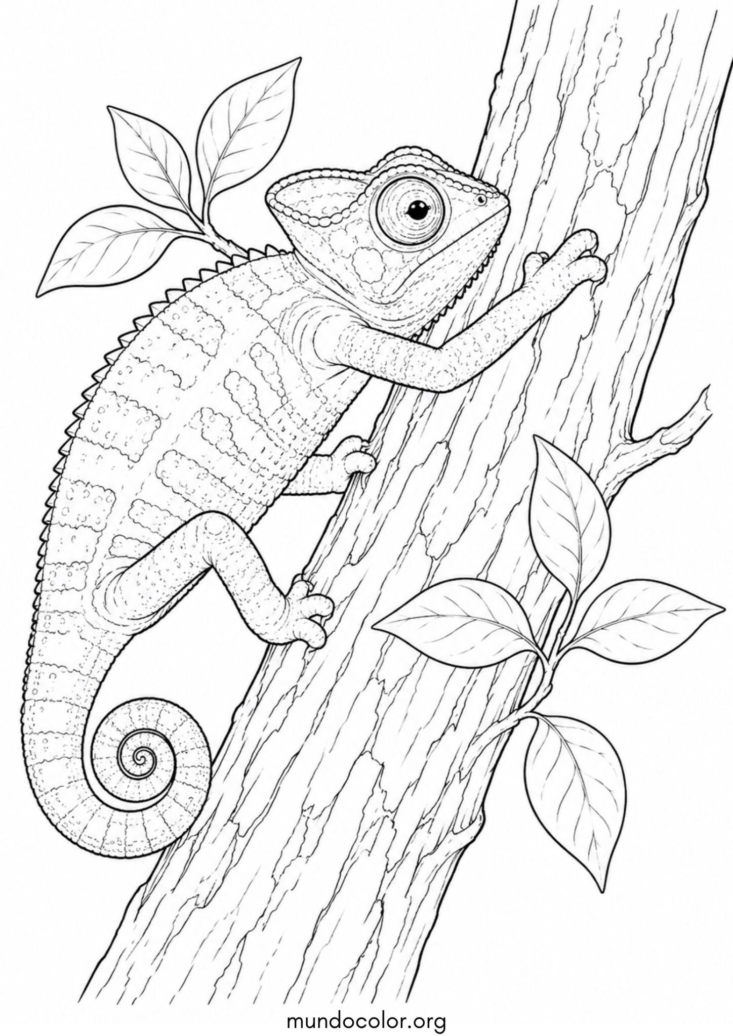 Dibujo de Camaleón en el árbol de la selva para imprimir Dibujo de Camaleón en el árbol de la selva para colorear