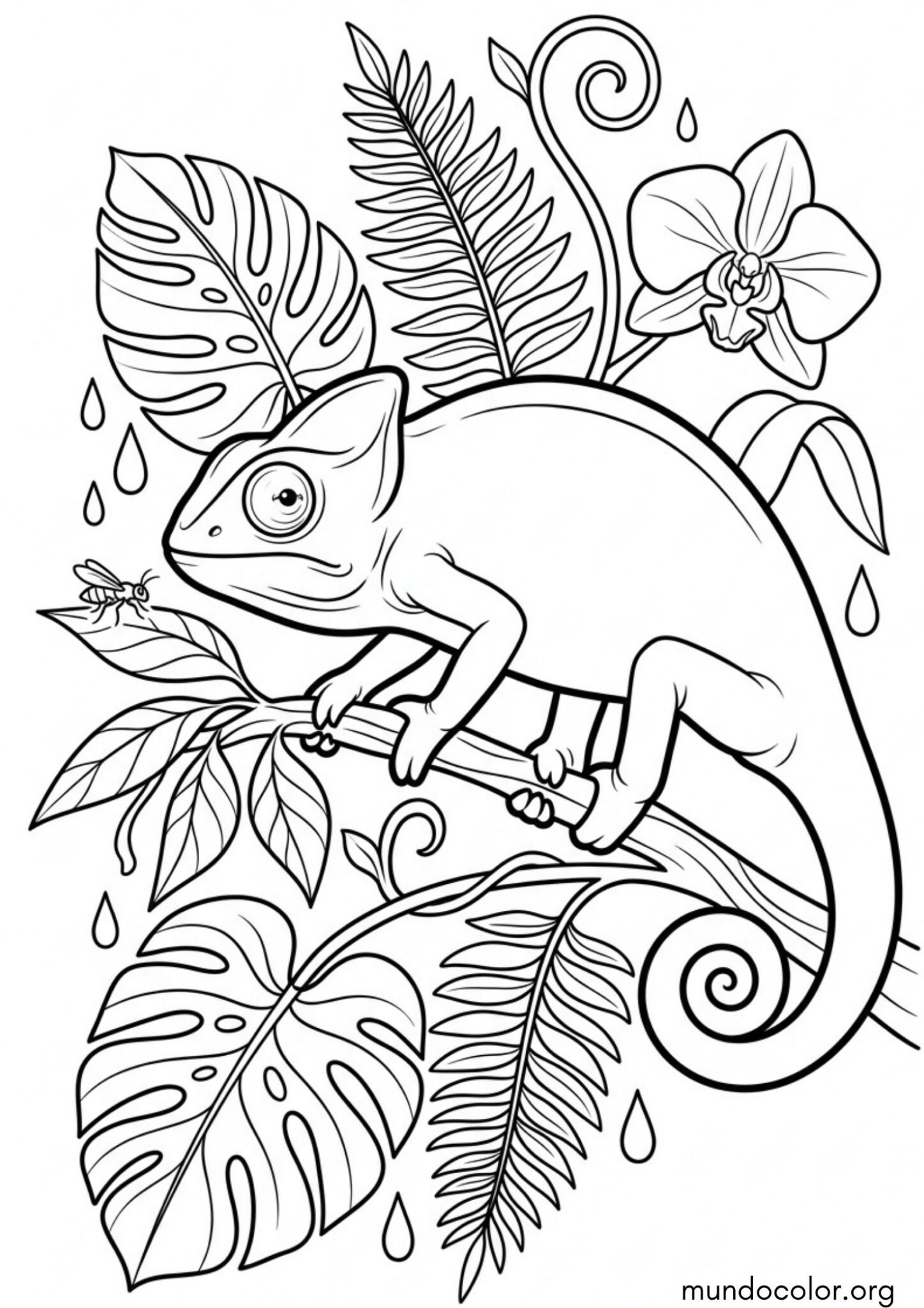 Dibujo de Camaleón en la selva tropical para imprimir Dibujo de Camaleón en la selva tropical para colorear