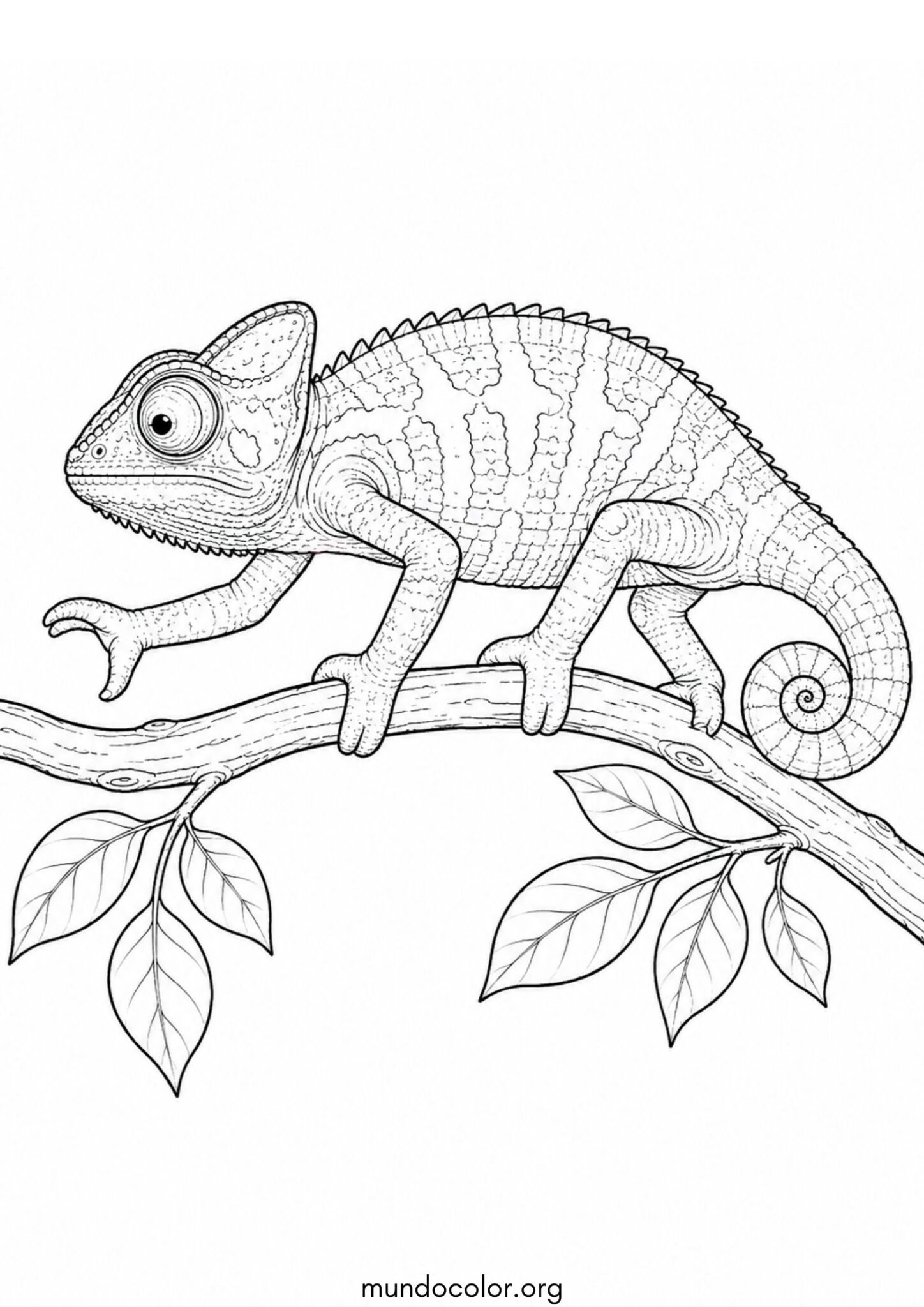 Dibujo de Camaleón en una rama de árbol para imprimir Dibujo de Camaleón en una rama de árbol para colorear