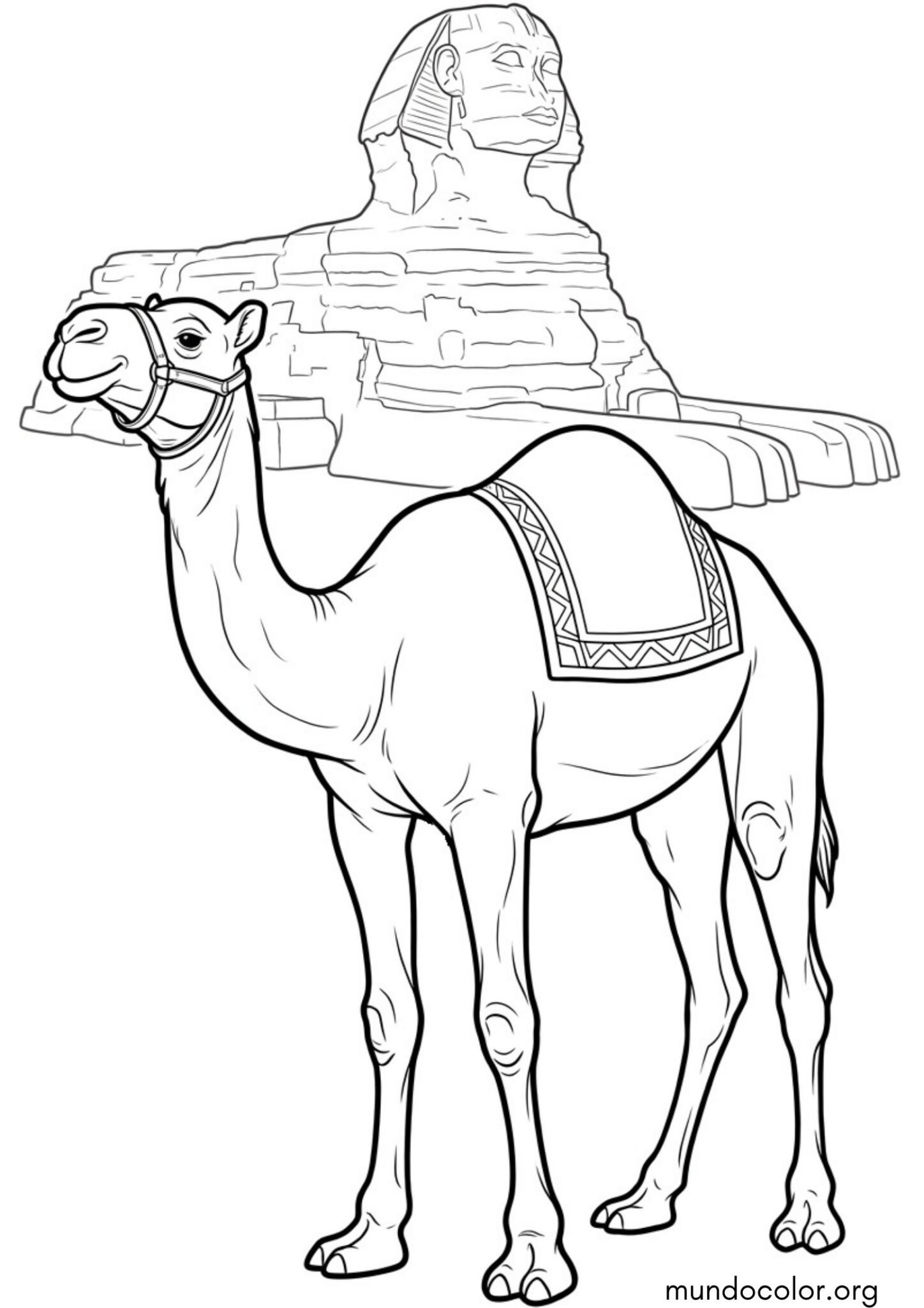 Dibujo de Camello frente a la esfinge de Egipto para colorear