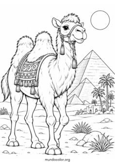 Camello frente a las pirámides de Egipto
