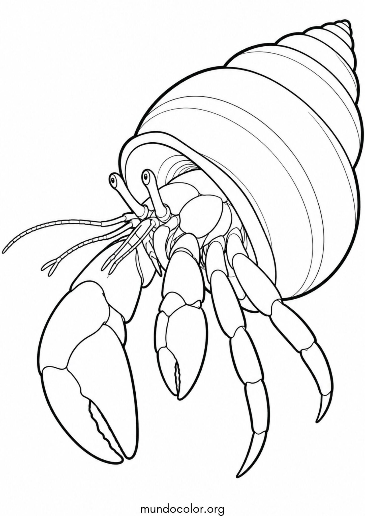 Dibujo de Cangrejo ermitaño en su concha para colorear