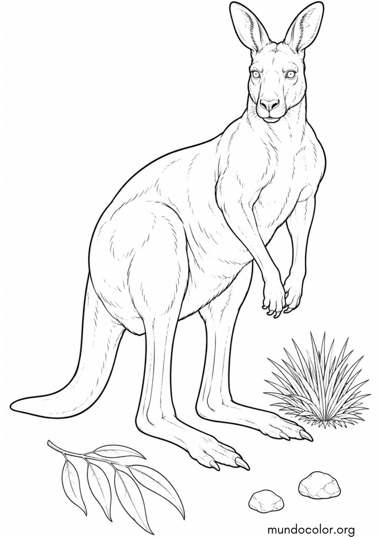 Dibujo de Canguro adulto grande en la naturaleza para colorear