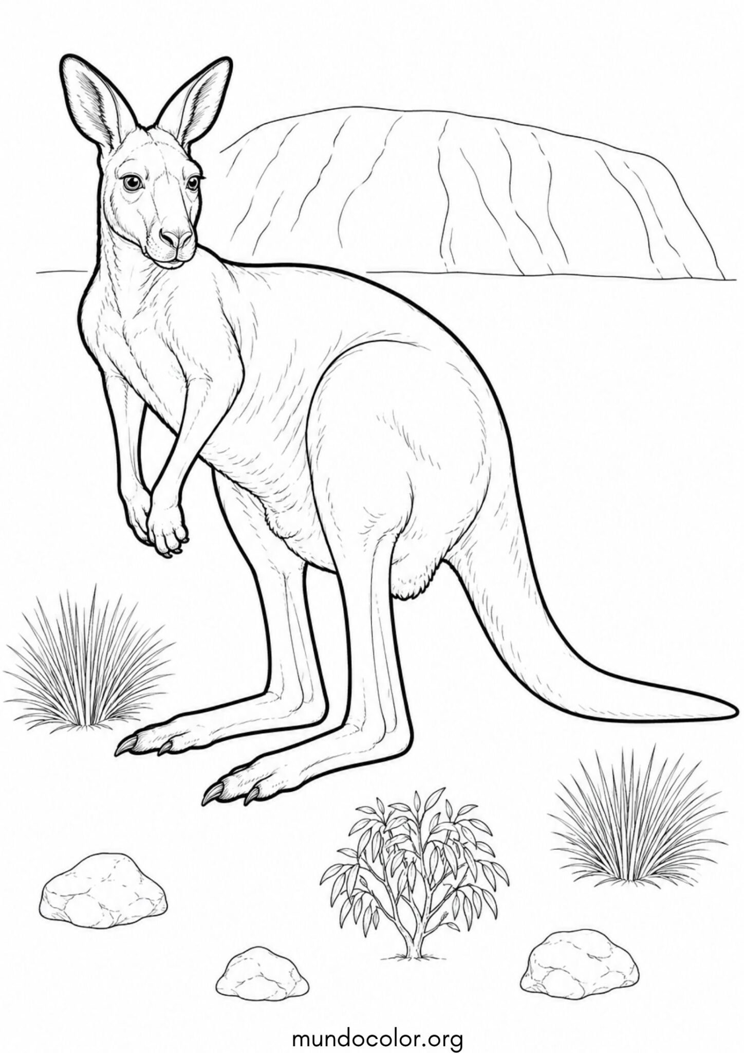 Dibujo de Canguro en el desierto australiano / Outback junto al monte Uluru para colorear