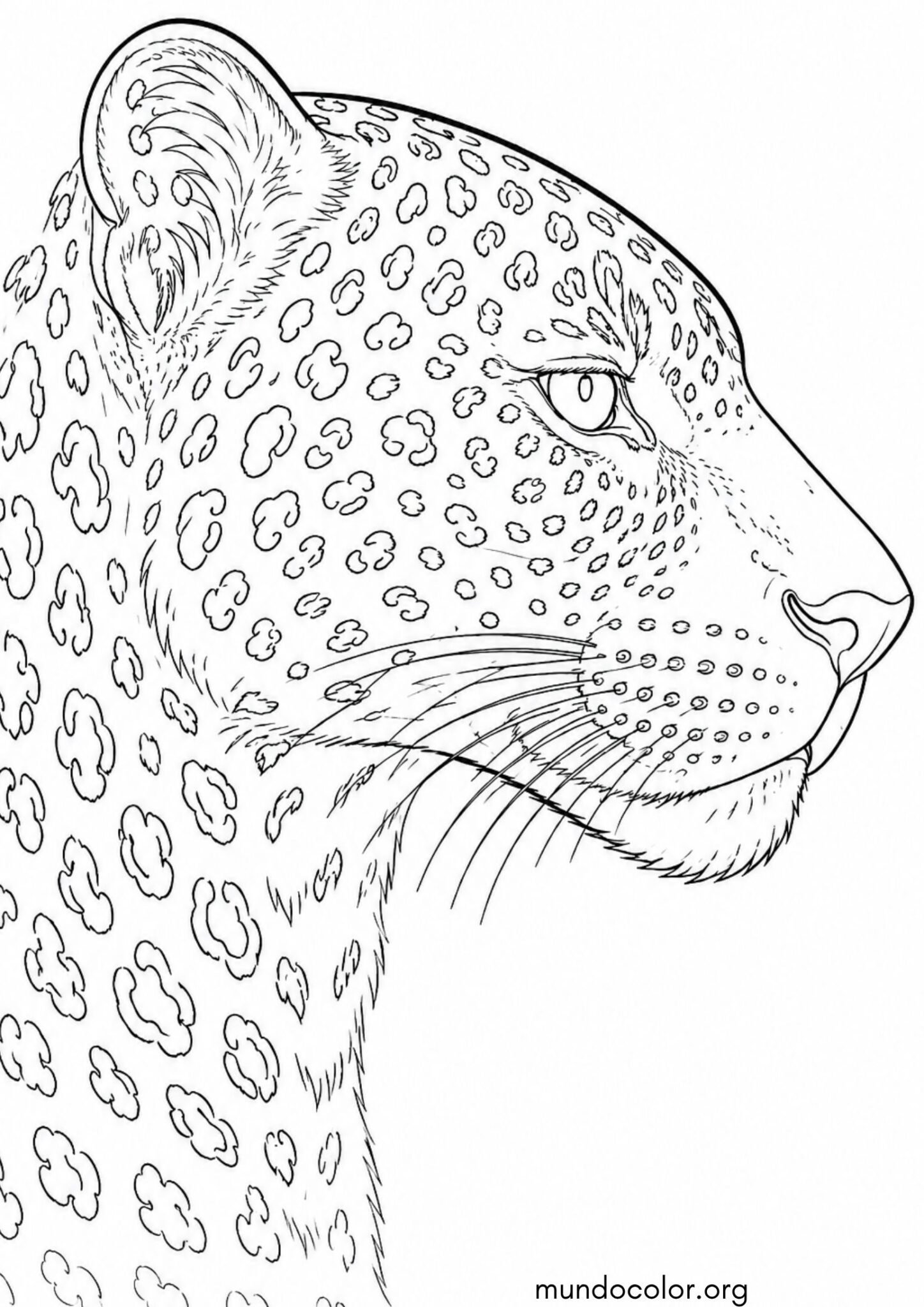 Dibujo de Cara de leopardo realista para imprimir Dibujo de Cara de leopardo realista para colorear