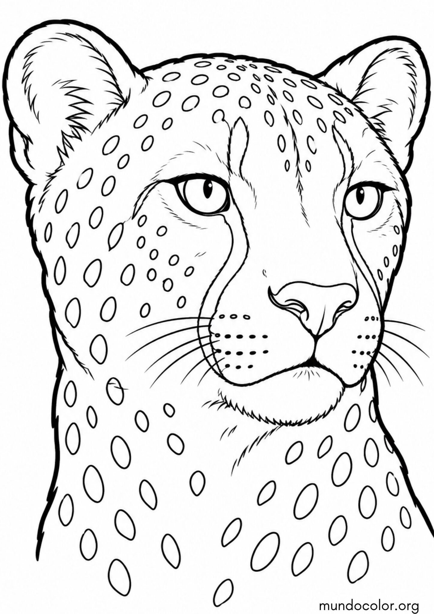 Dibujo de Cara realista de un guepardo para colorear