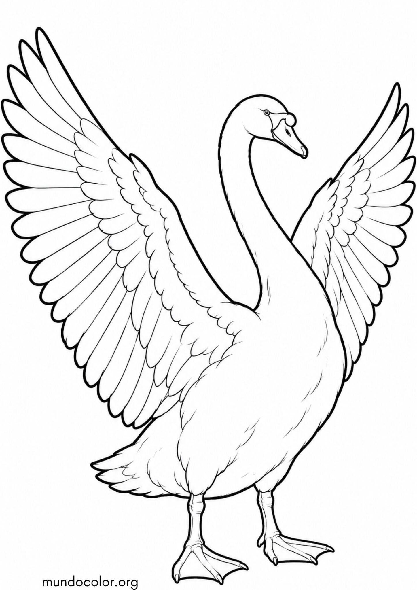 Dibujo de Cisne con las alas extendidas para imprimir Dibujo de Cisne con las alas extendidas para colorear