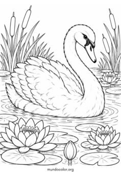 Cisne nadando pacíficamente entre nenúfares, flores de loto y juncos