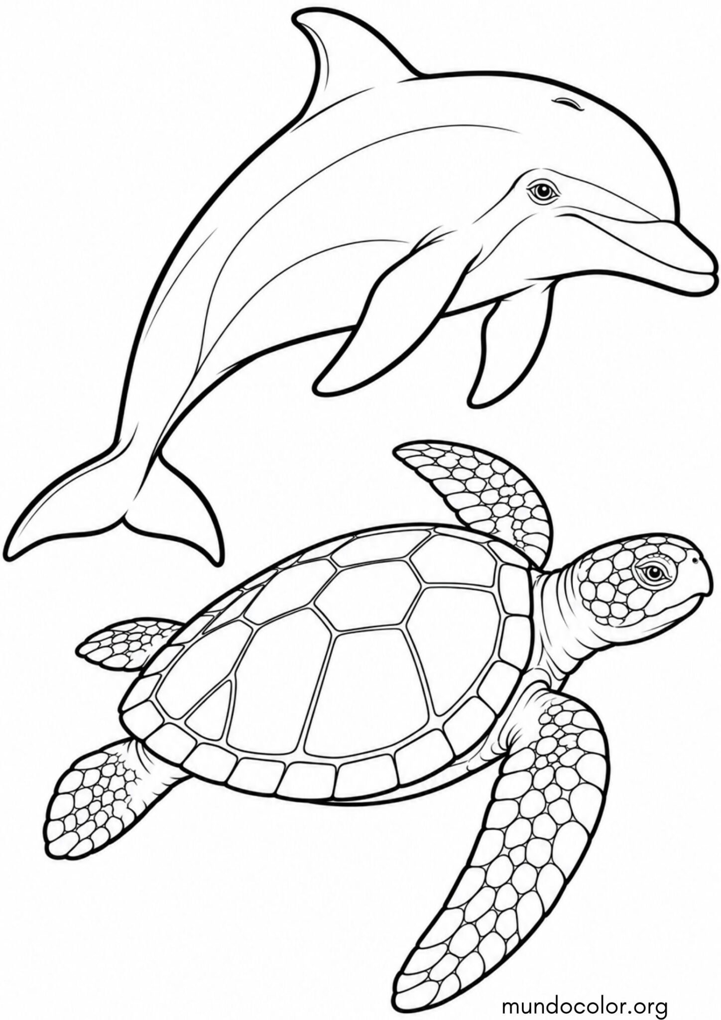 Dibujo de Delfín y tortuga marina para imprimir Dibujo de Delfín y tortuga marina para colorear