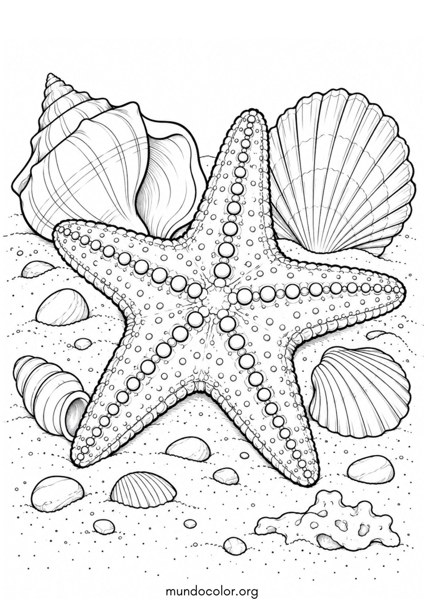 Dibujo de Estrella de mar en la arena de la playa junto a conchas marinas y caracolas para colorear