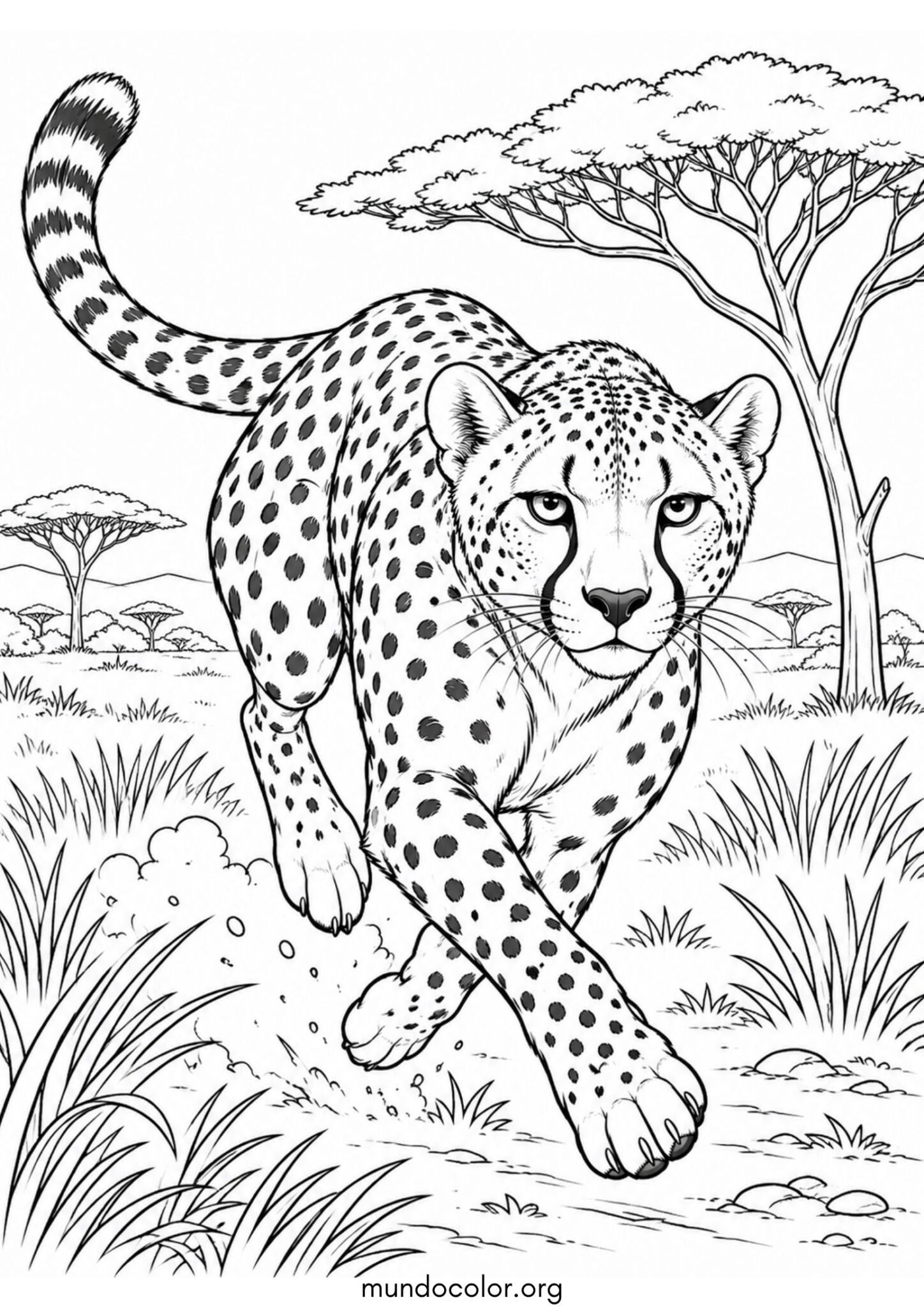 Dibujo de Guepardo corriendo a toda velocidad por la sabana africana para imprimir Dibujo de Guepardo corriendo a toda velocidad por la sabana africana para colorear