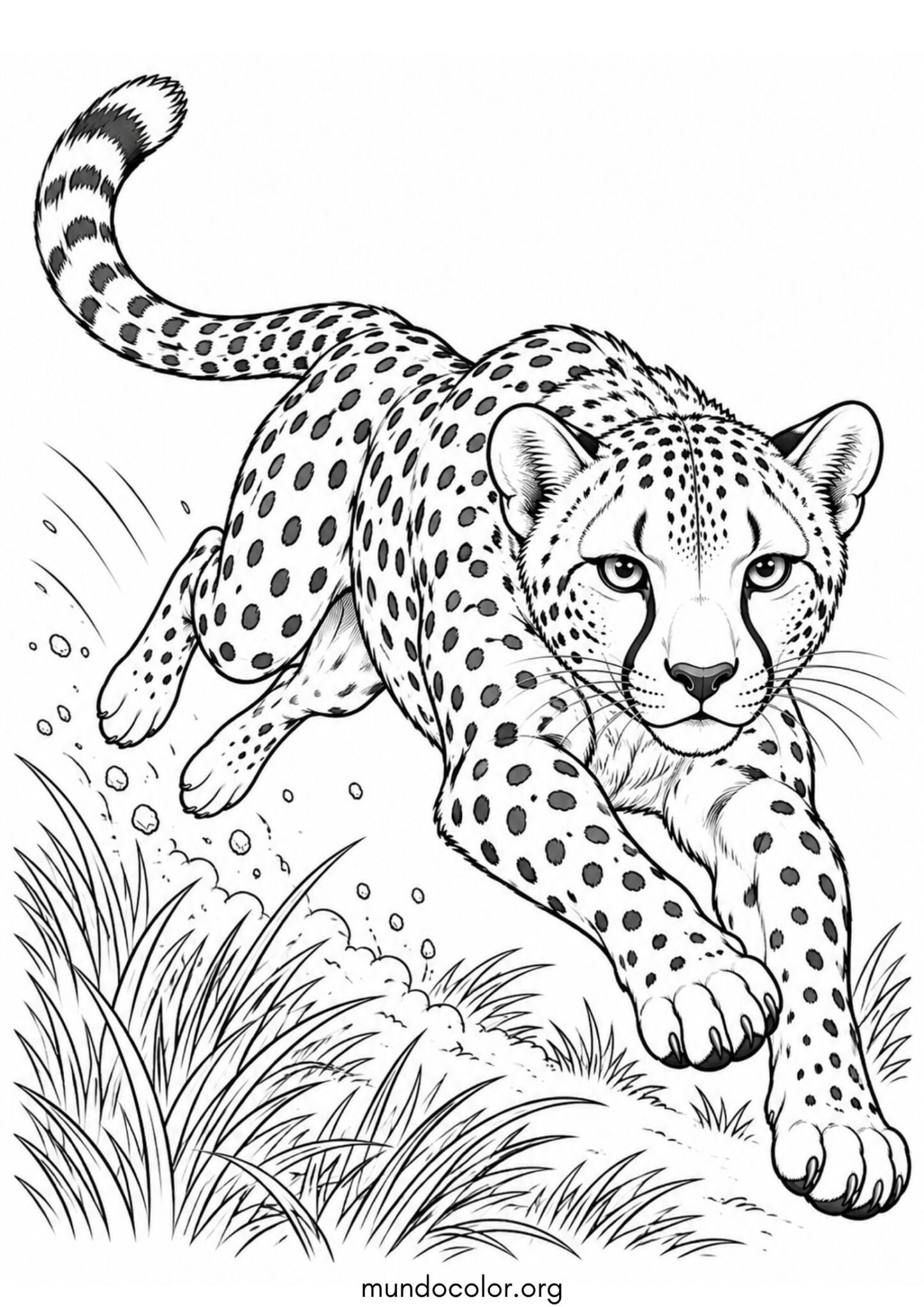 Dibujo de Guepardo dando un gran salto atlético en plena carrera para imprimir Dibujo de Guepardo dando un gran salto atlético en plena carrera para colorear