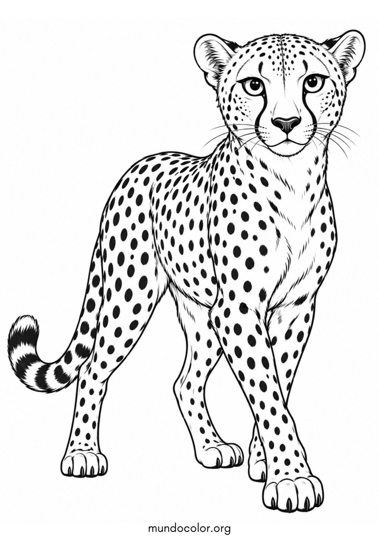 Dibujo de Guepardo realista para colorear