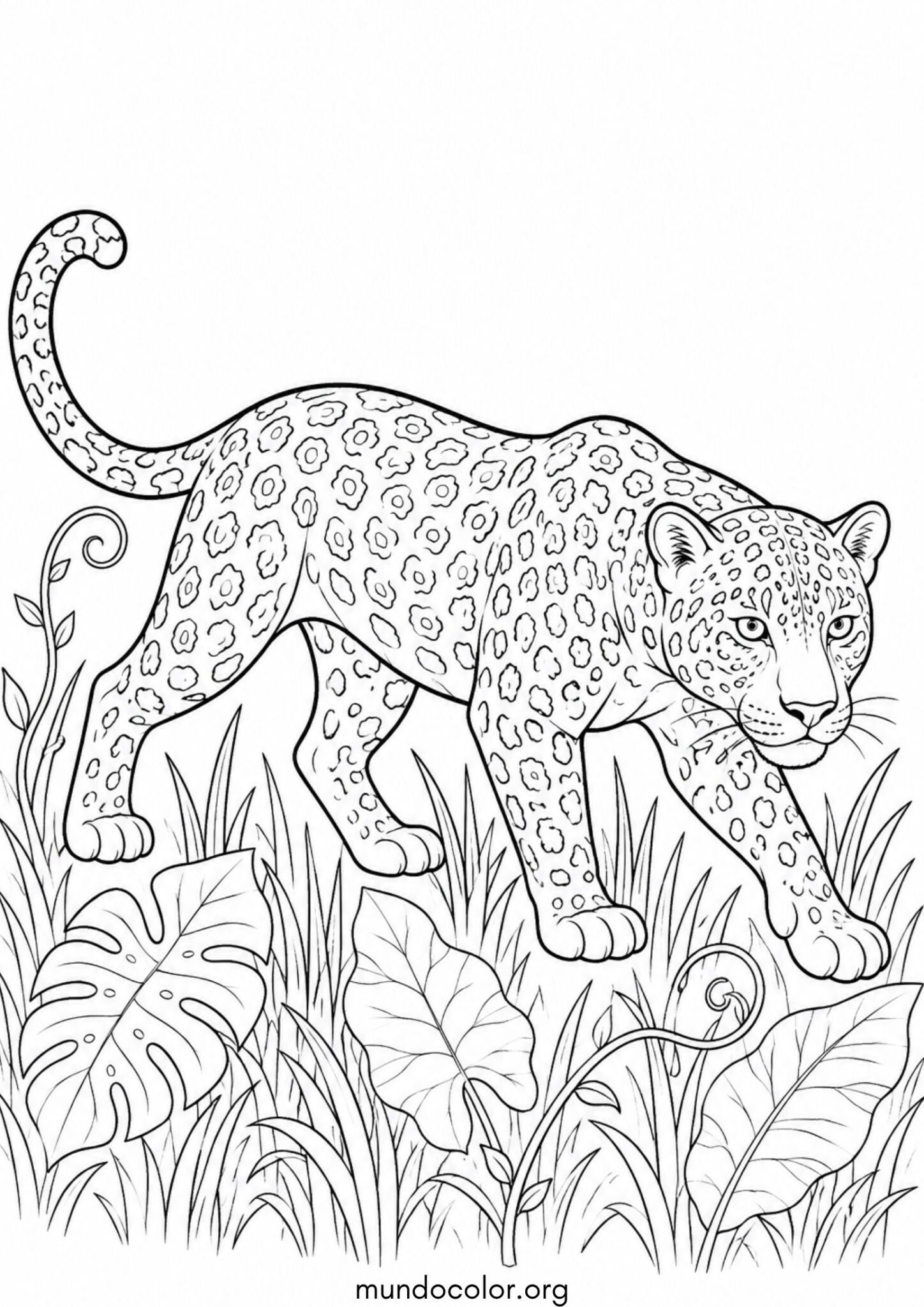 Dibujo de Leopardo acechando sigilosamente entre la hierba alta de la selva para colorear