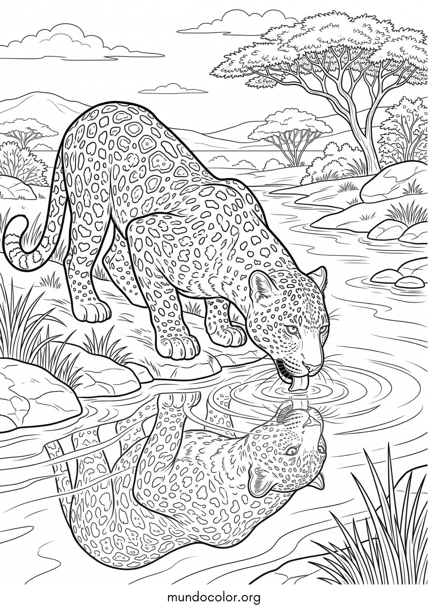 Dibujo de Leopardo bebiendo agua fresca para imprimir Dibujo de Leopardo bebiendo agua fresca para colorear