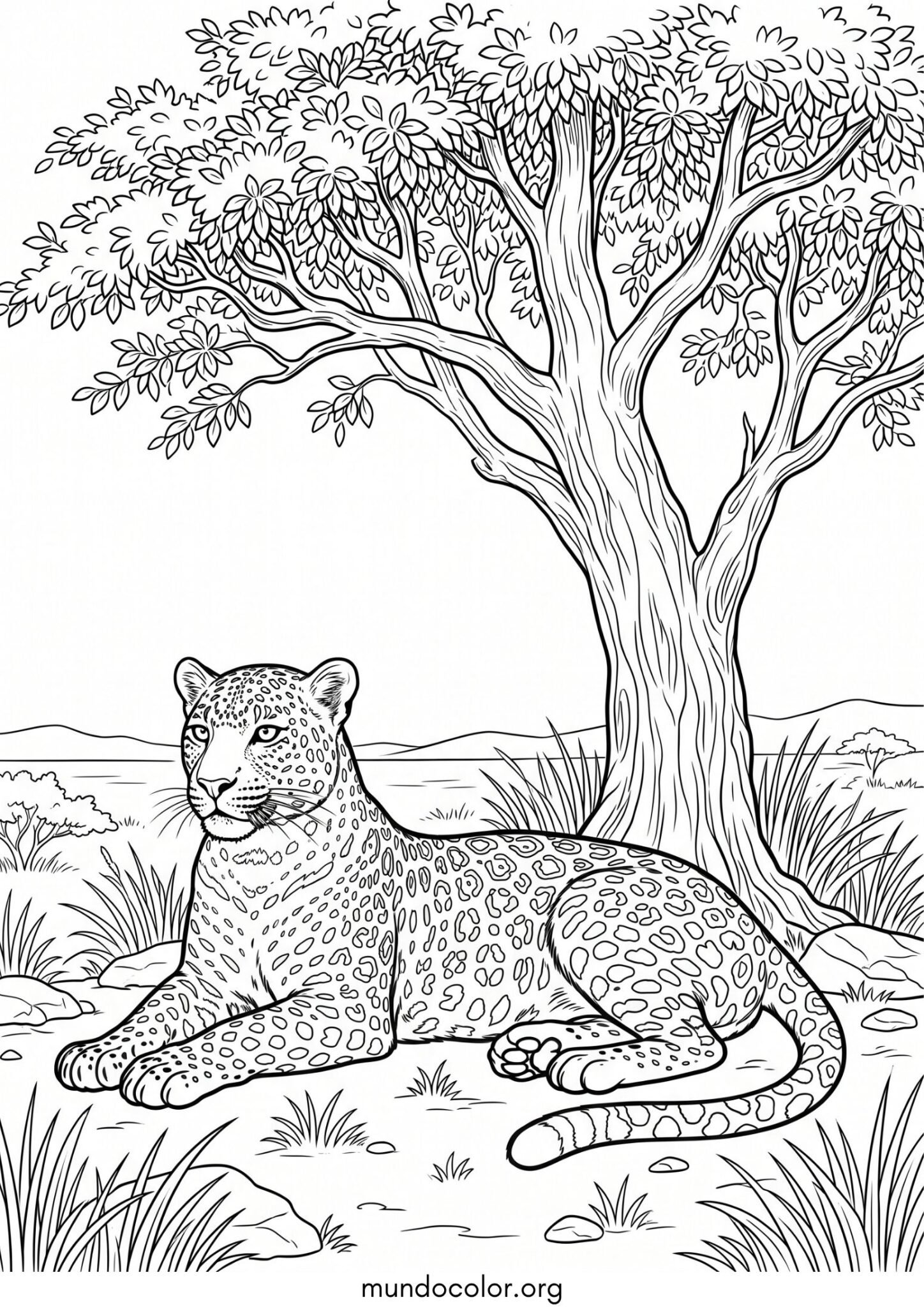 Dibujo de Leopardo debajo de un árbol para imprimir Dibujo de Leopardo debajo de un árbol para colorear
