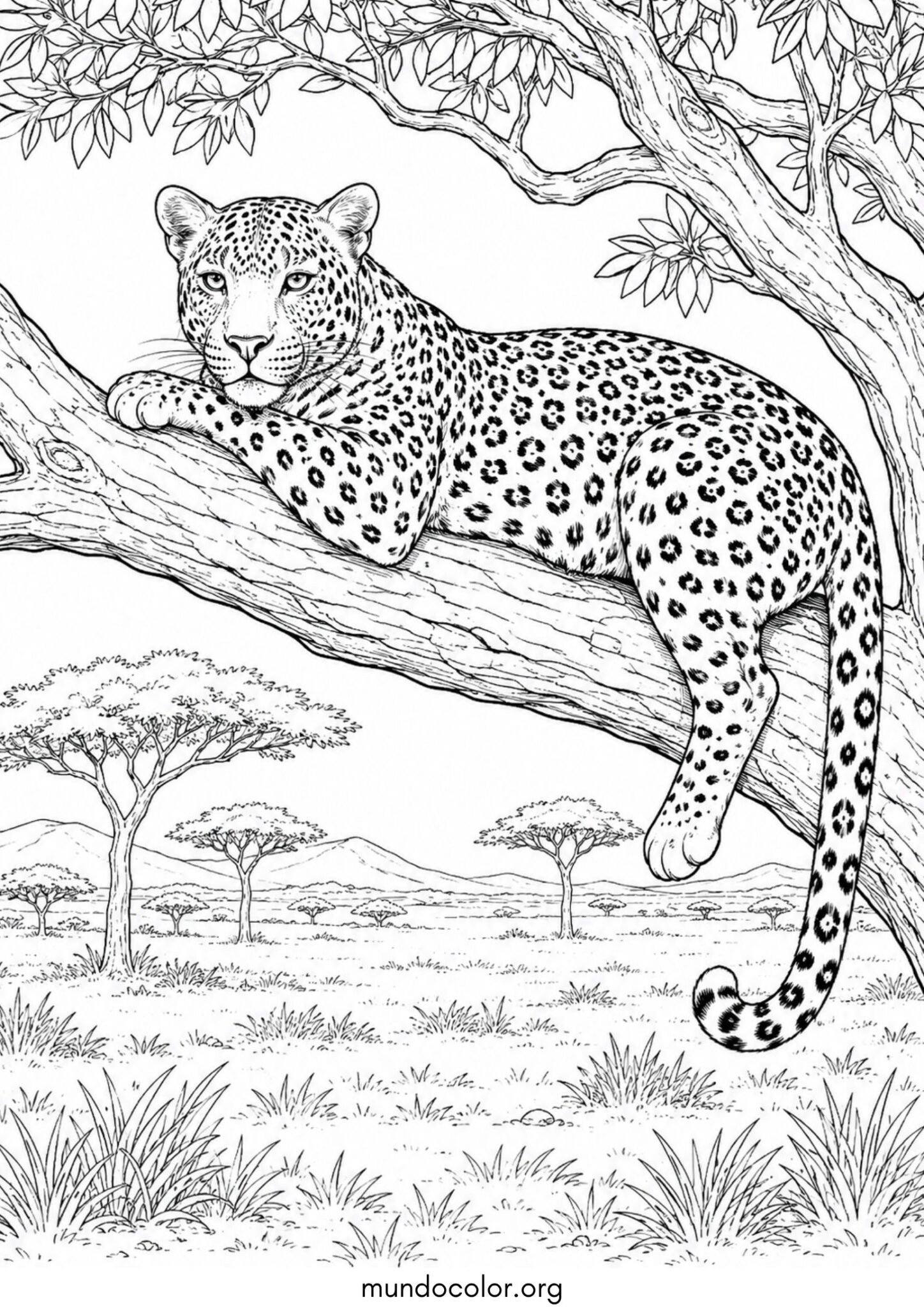 Dibujo de Leopardo descansando sobre la rama gruesa de un árbol de la sabana para colorear