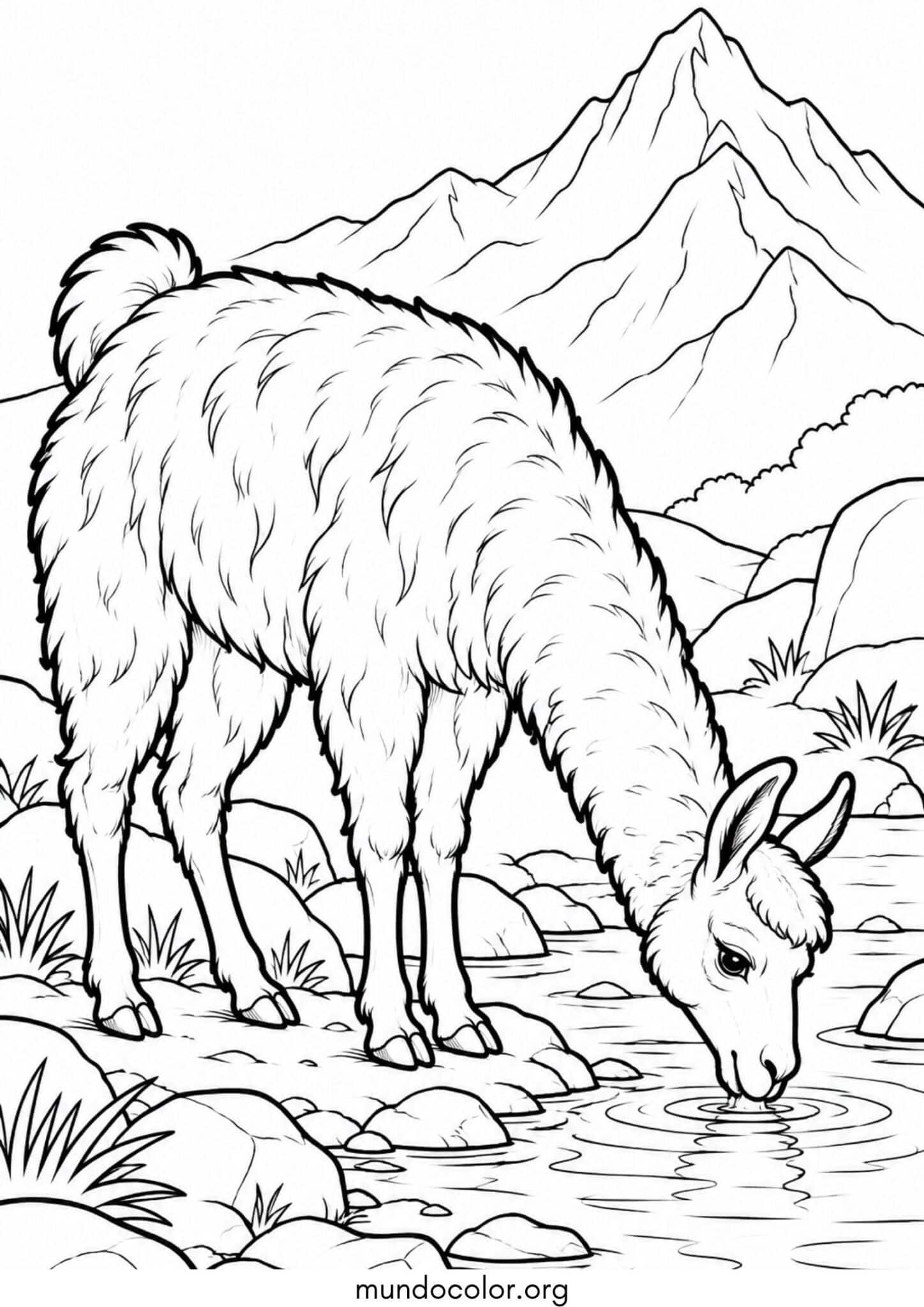 Dibujo de Llama bebiendo agua en un arroyo al pie de la montaña para imprimir Dibujo de Llama bebiendo agua en un arroyo al pie de la montaña para colorear