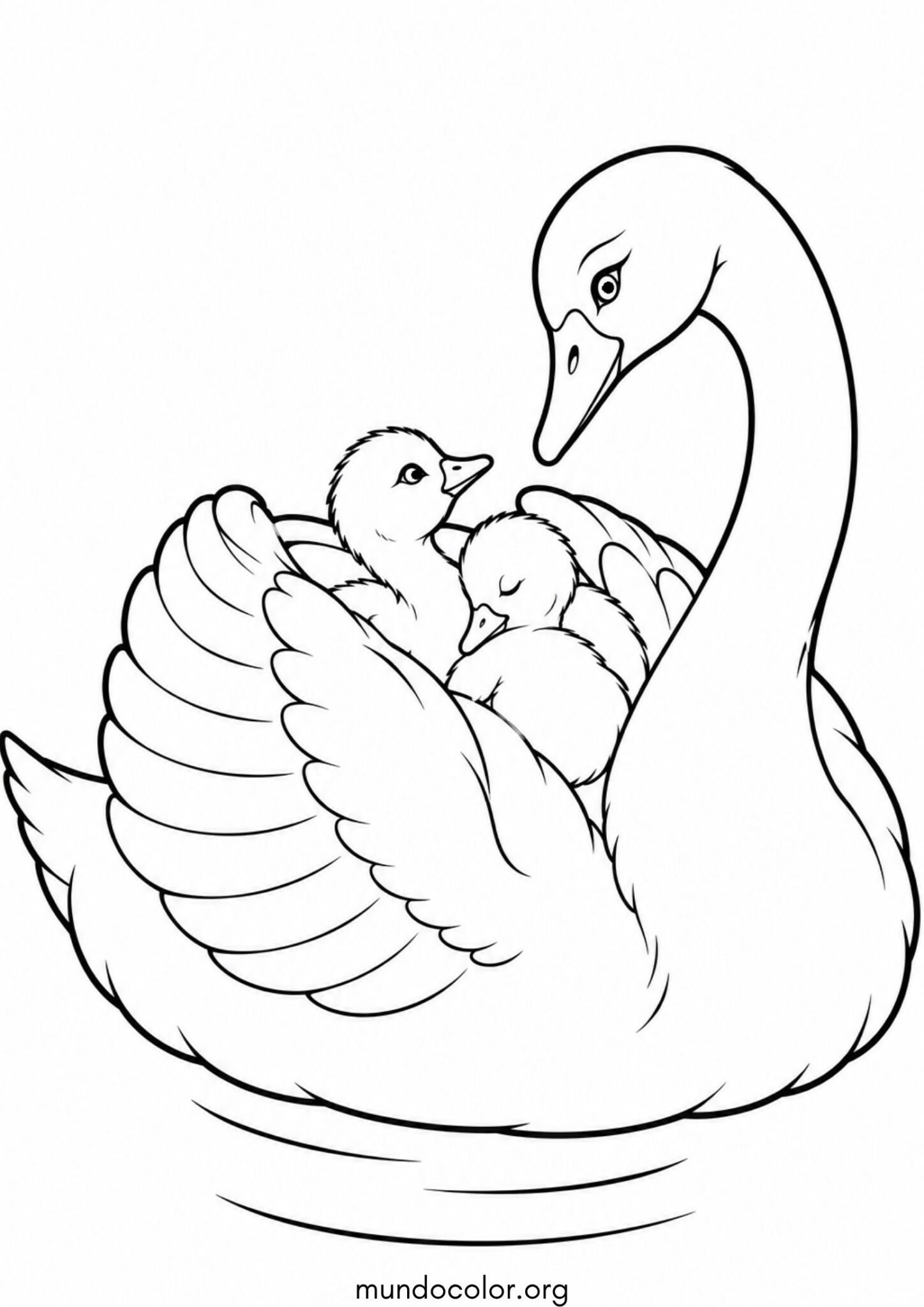 Dibujo de Mamá cisne nadando con sus polluelos en la espalda para imprimir Dibujo de Mamá cisne nadando con sus polluelos en la espalda para colorear